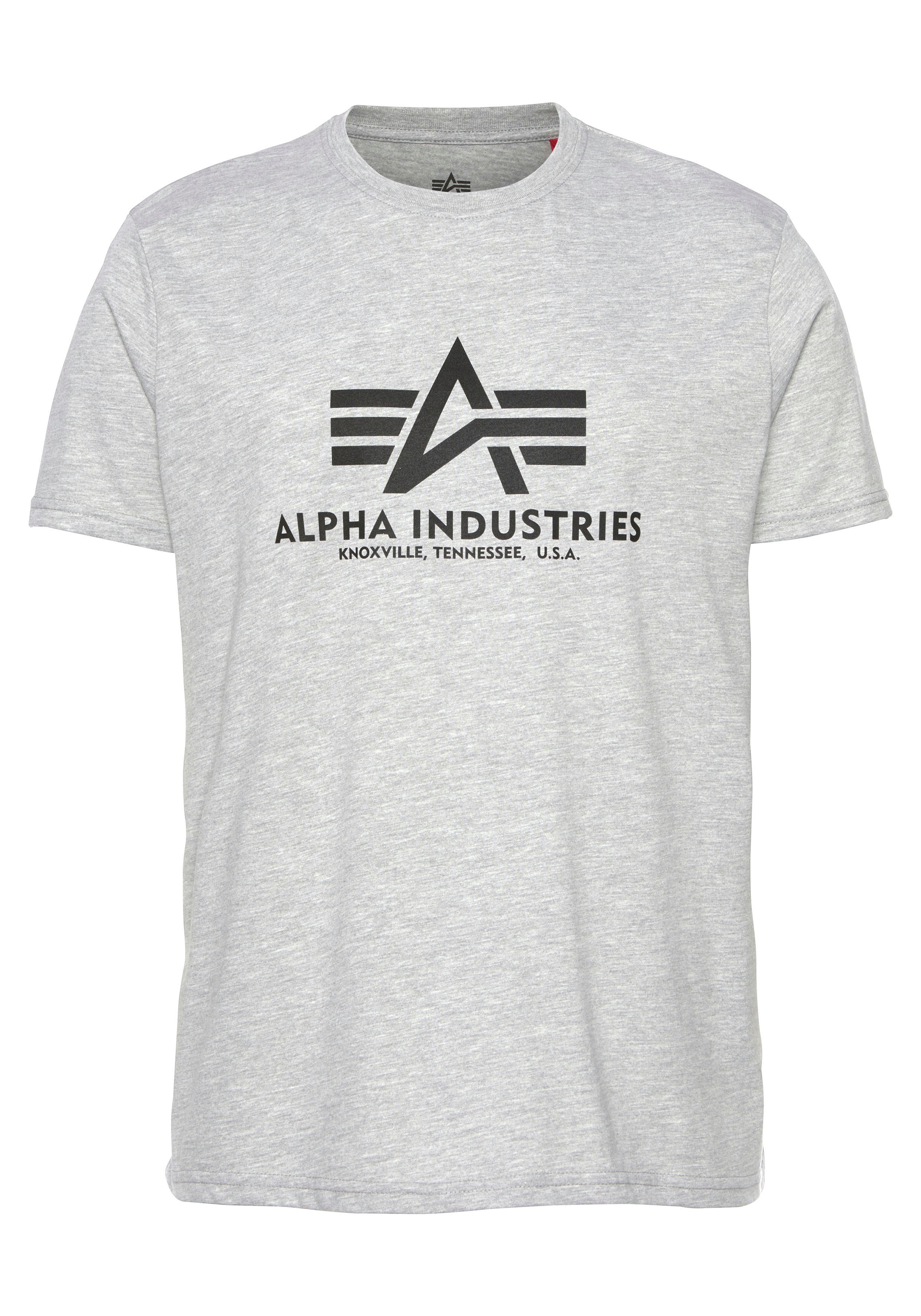 Alpha Industries T-Shirt »Basic T-Shirt«