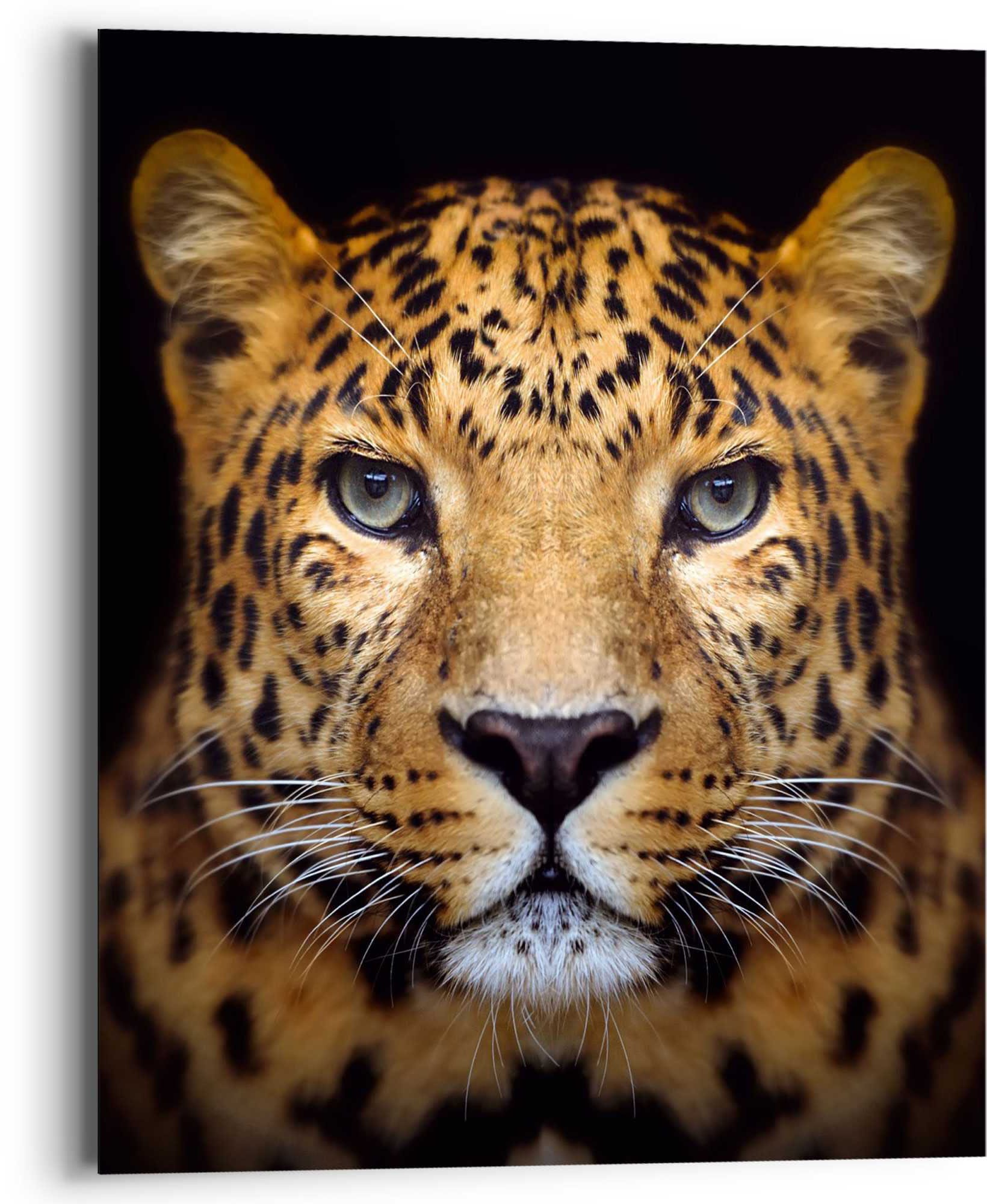 Reinders! Wandbild »Wandbild Leopard Kräftig - Panther - Raubetier -  Gefleckt«, Leopard, (1 St.) online bei OTTO