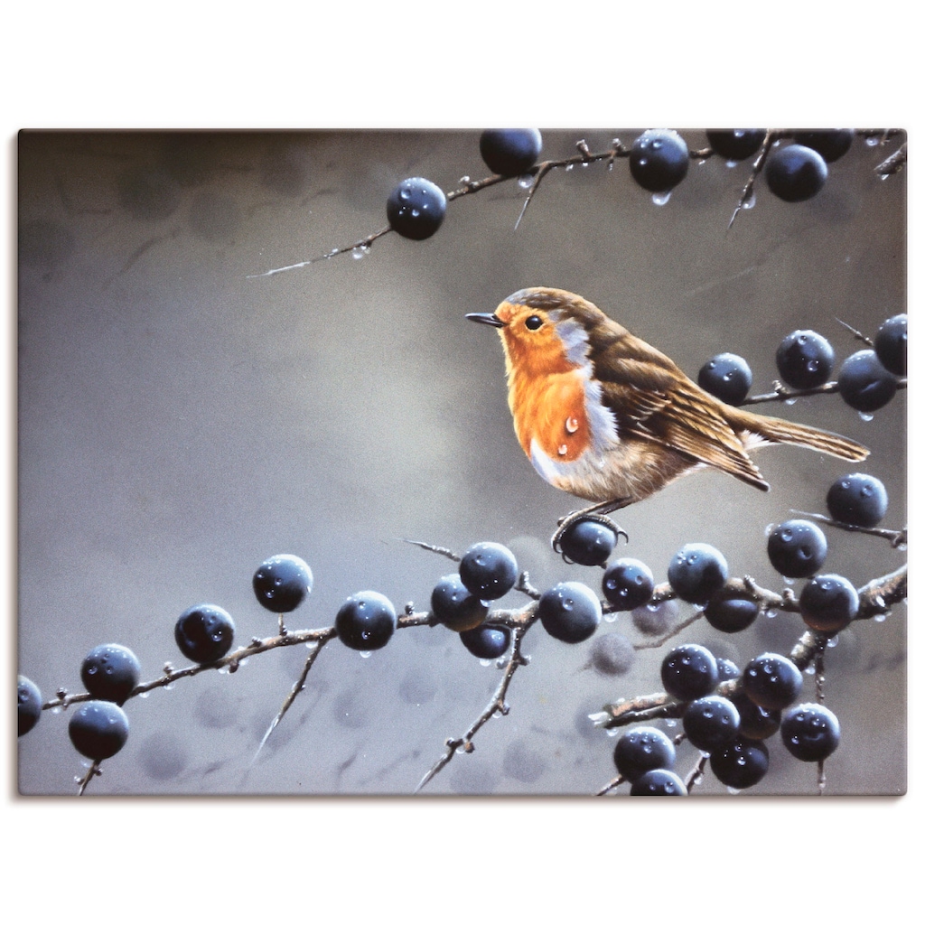 Artland Leinwandbild »Vogel im Beerenbaum«, Vögel, (1 St.), auf Keilrahmen gespannt