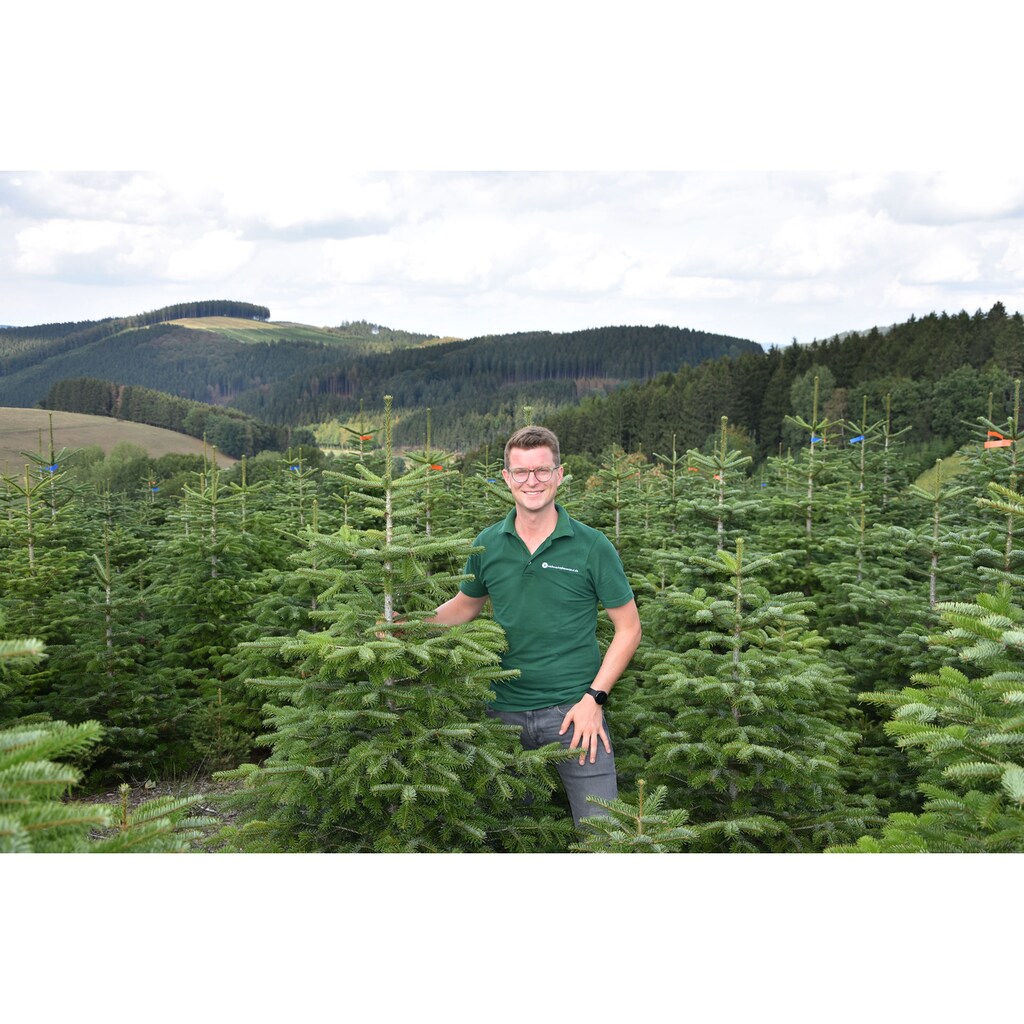 Weihnachtsbaumland Echter Weihnachtsbaum »Nordmanntanne auf Holzkreuz montiert, Weihnachtsdeko«, Nordmanntanne