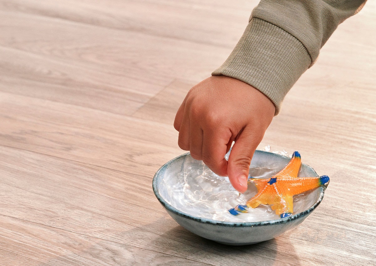 Schleich® Spielfigur »WILD LIFE, Seestern (14902)« mit Farbwechsel