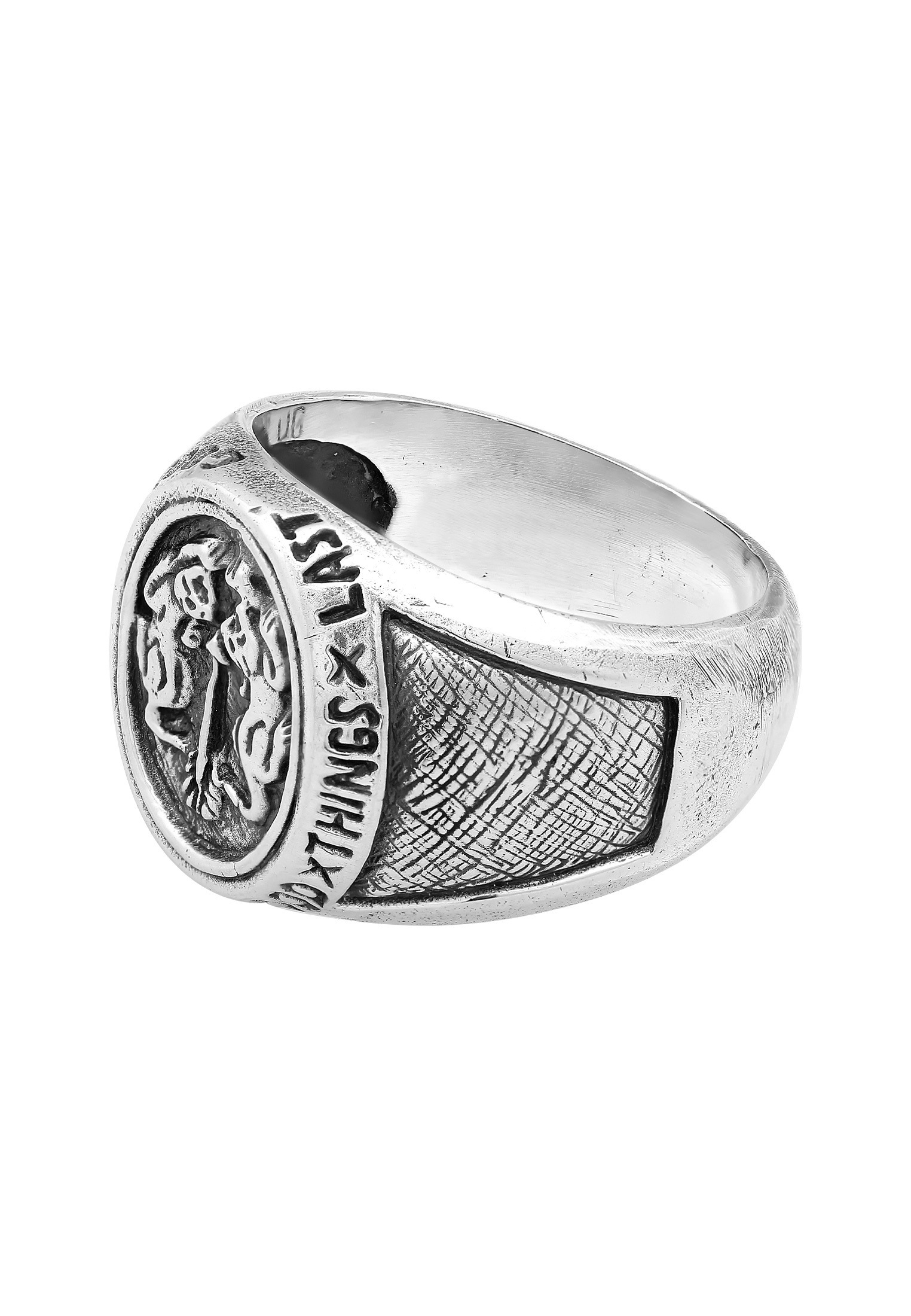 HAZE & GLORY Siegelring »Ring Siegelring - Twin Tiger 925 Silber«