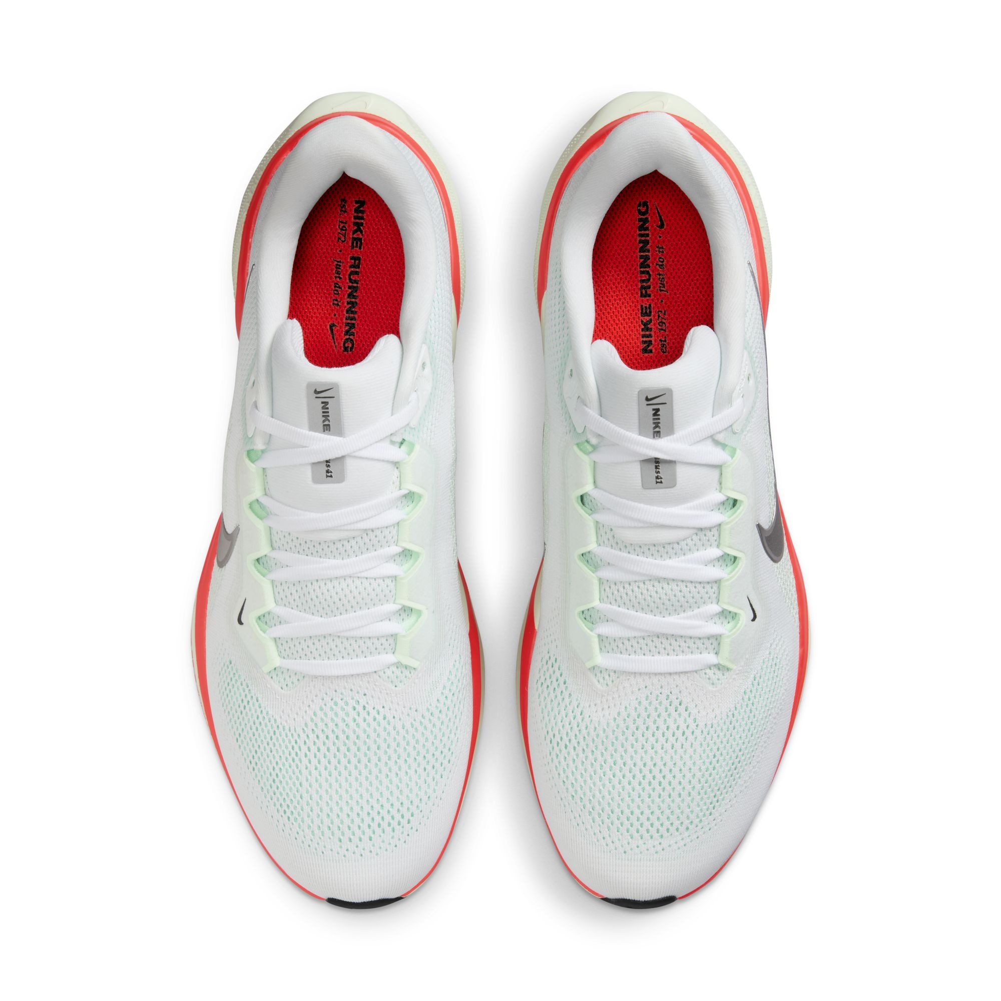 Nike Laufschuh »AIR ZOOM PEGASUS 41«