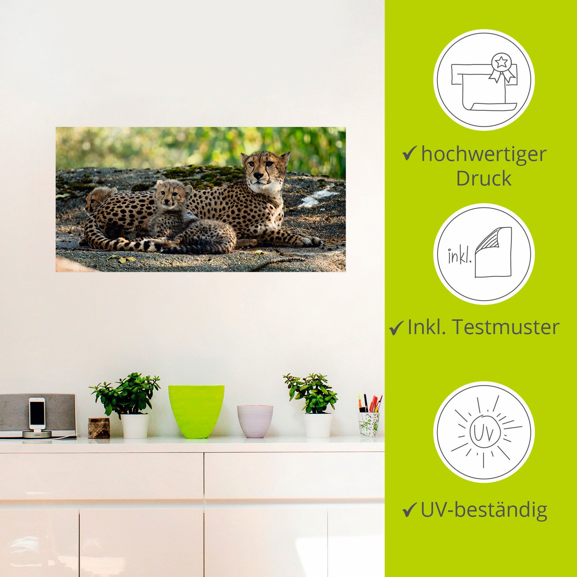 Artland Wandbild »Gepard 2«, Wildtiere, (1 St.), als Leinwandbild, Poster, Wandaufkleber in verschied. Größen