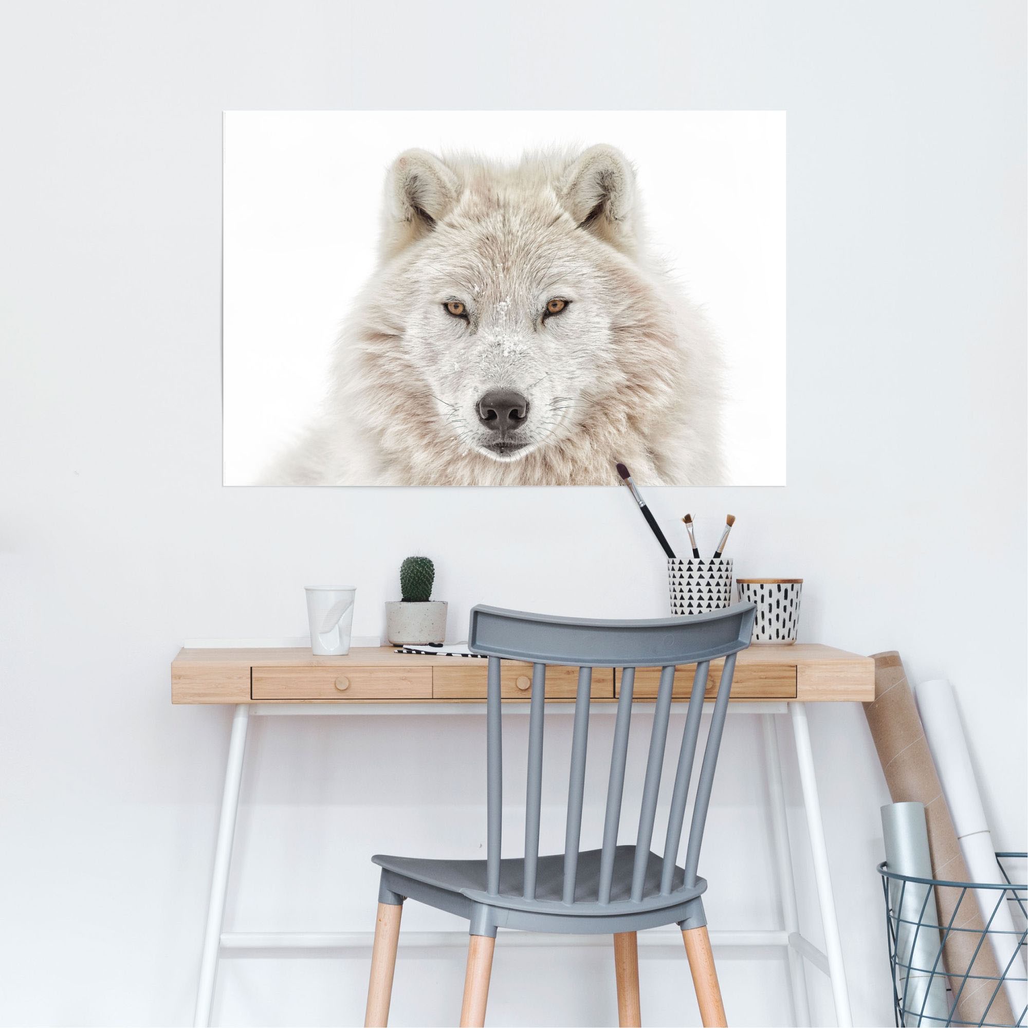 Reinders! Poster »Weisser Wolf«, (1 St.)