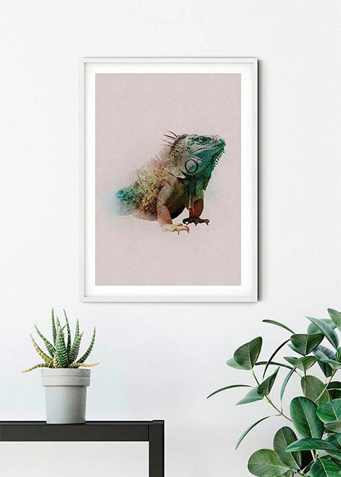 Kinderzimmer, Wohnzimmer Iguana«, Tiere, OTTO Paradise (1 bei »Animals Schlafzimmer, kaufen Poster St.), Komar online