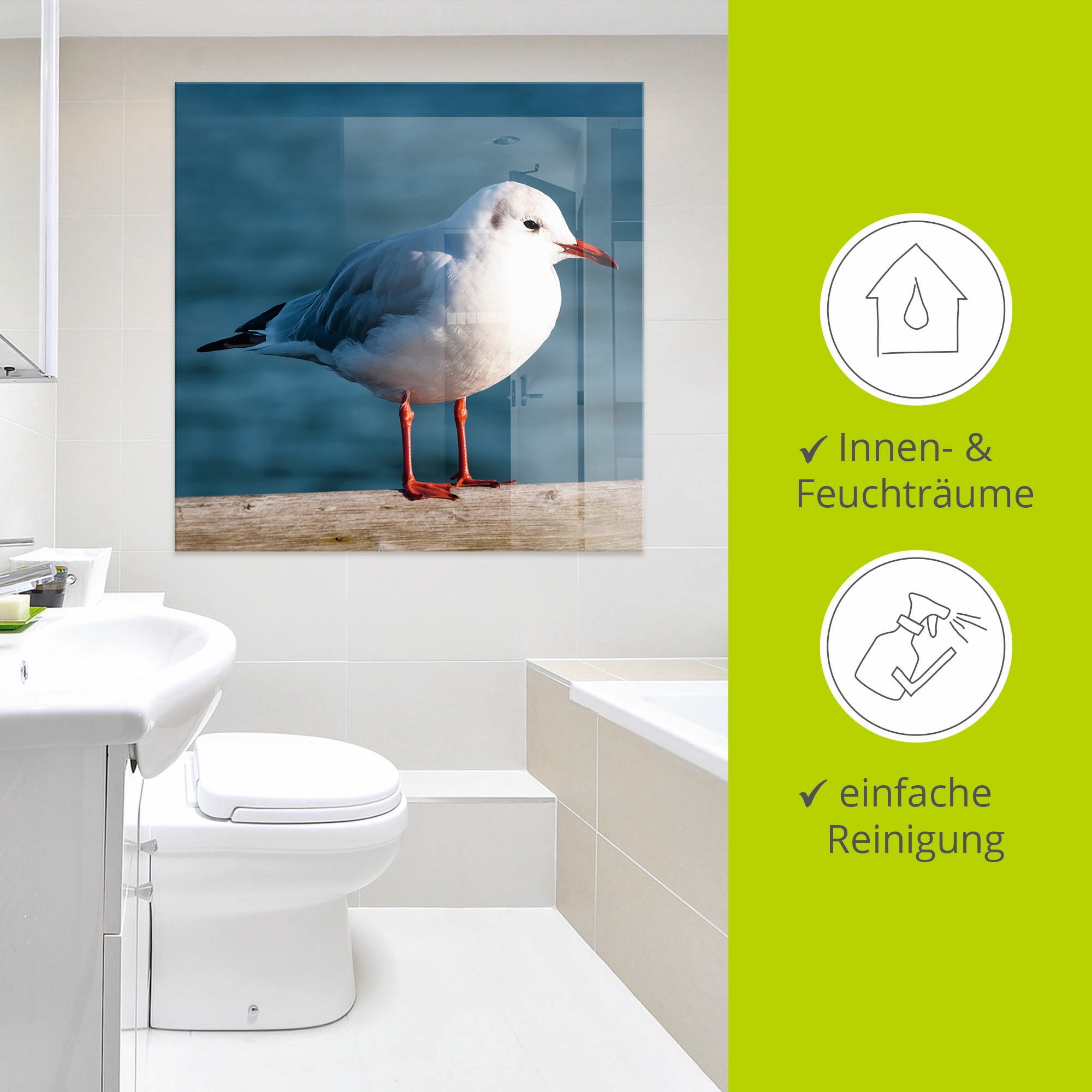 Artland Glasbild »Möwe«, Vögel, (1 St.), in verschiedenen Größen