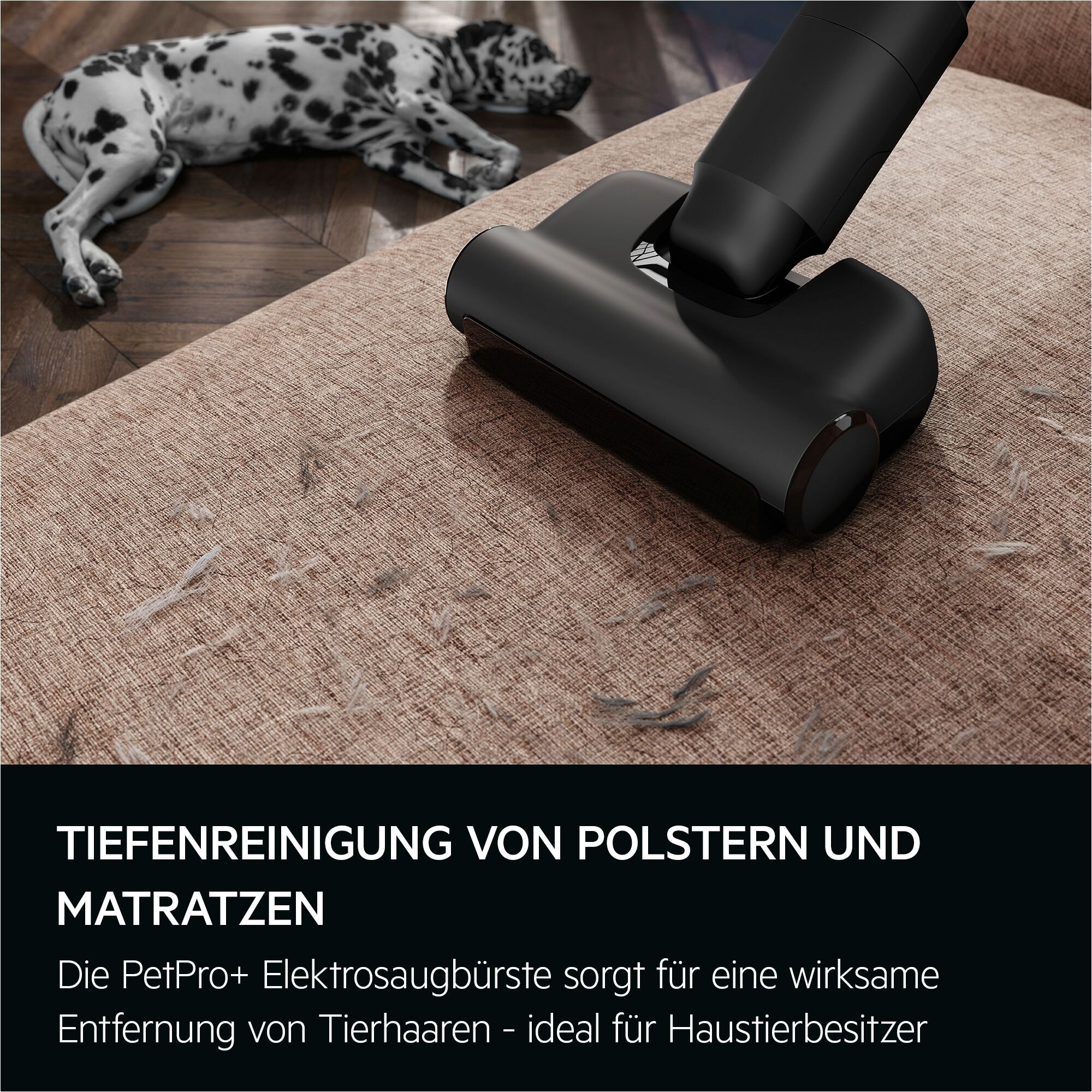 AEG Akku-Hand-und Stielstaubsauger »ULTIMATE 8000 (AP83AB25DG), beutellos, mit Absaugstation«, Hygienische Absaugung des Staubbehälters ohne Kontakt mit Schmutz