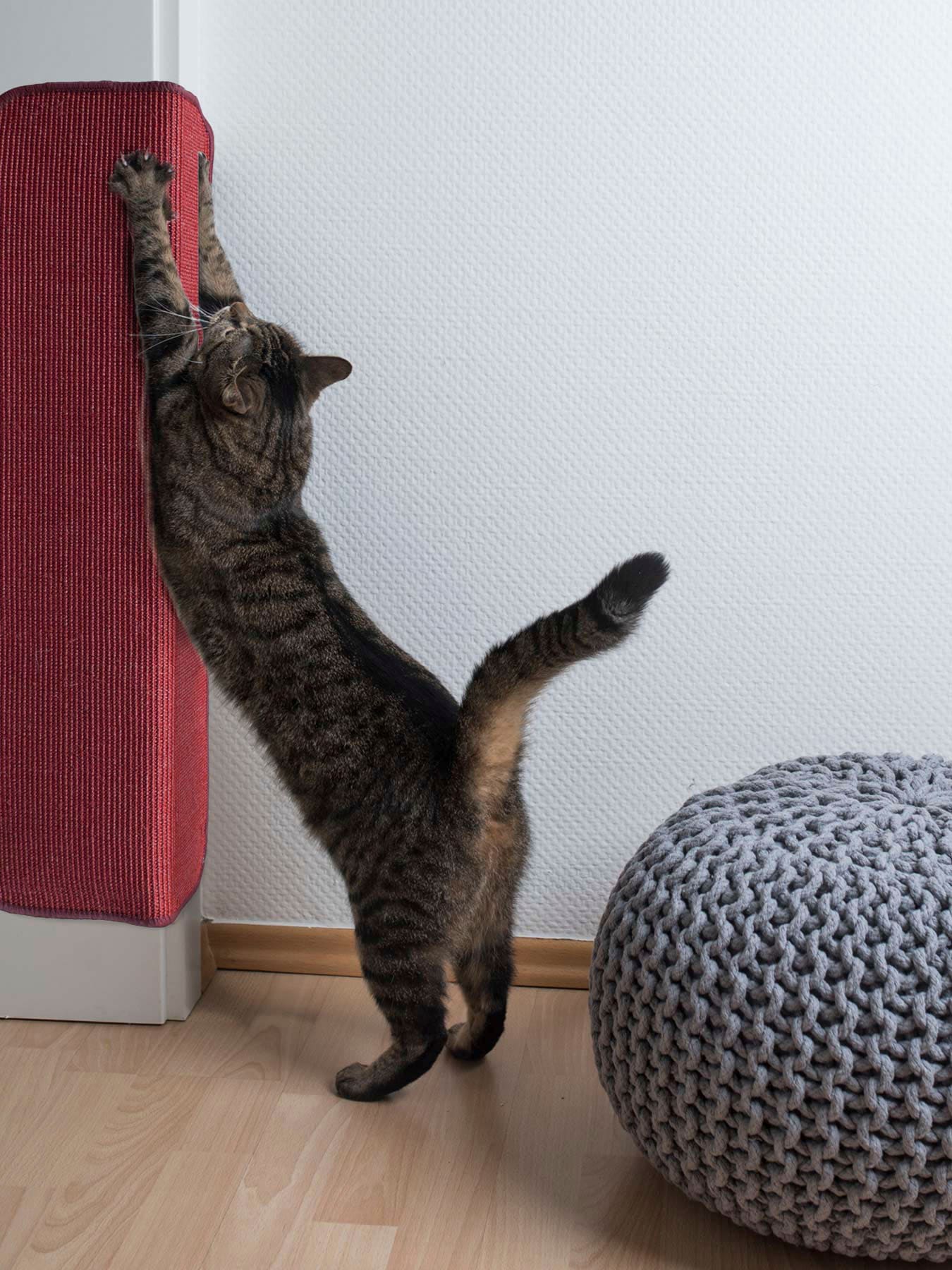 Primaflor-Ideen In Textil Kratzbrett »Katzen-Kratzmatte SISALLUX in rot, Größe B/H/L: 67 cm x 0,6 cm x 140 cm