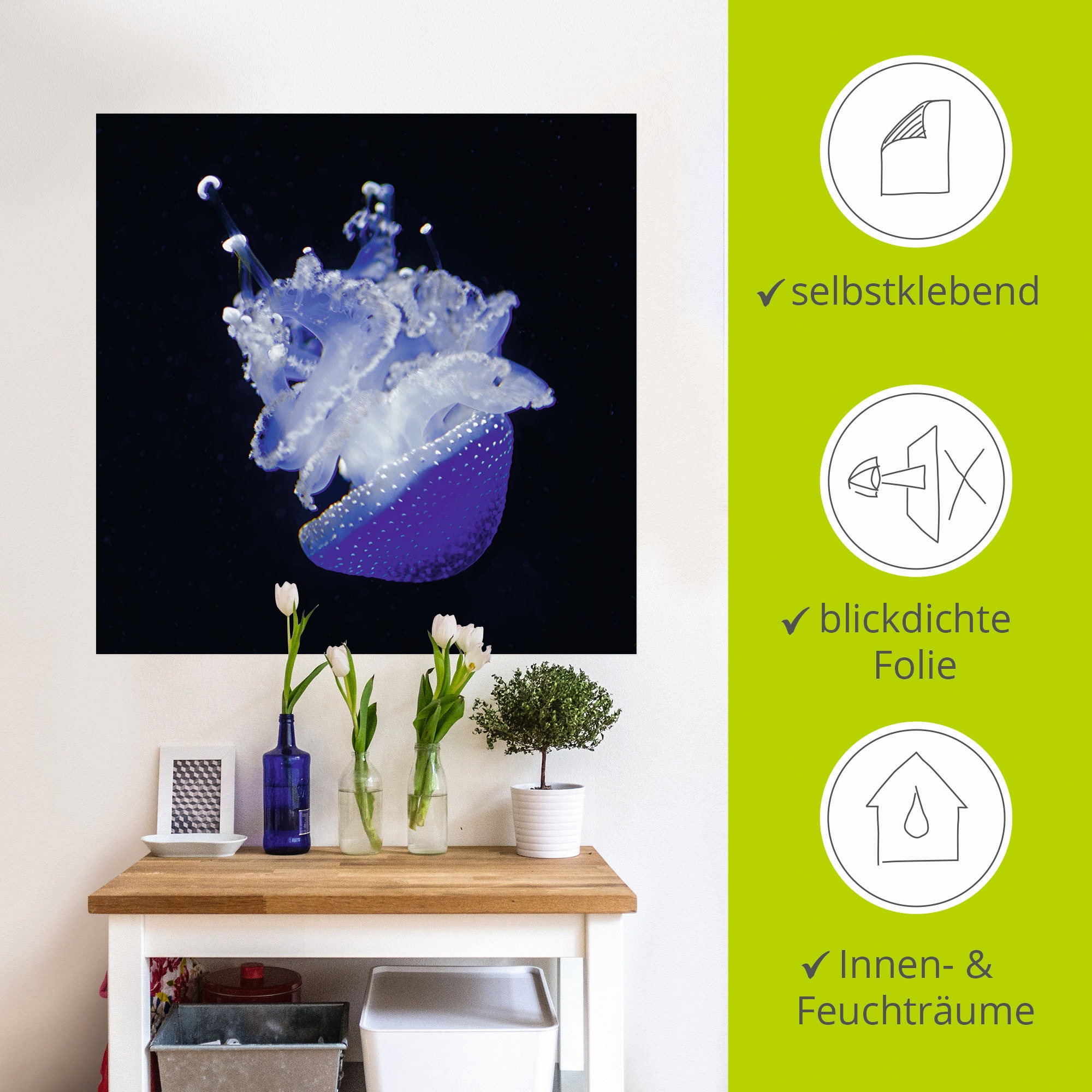 Artland Wandbild »Qualle Aquarium Zoo«, Wassertiere, (1 St.), als Poster, Wandaufkleber in verschied. Größen