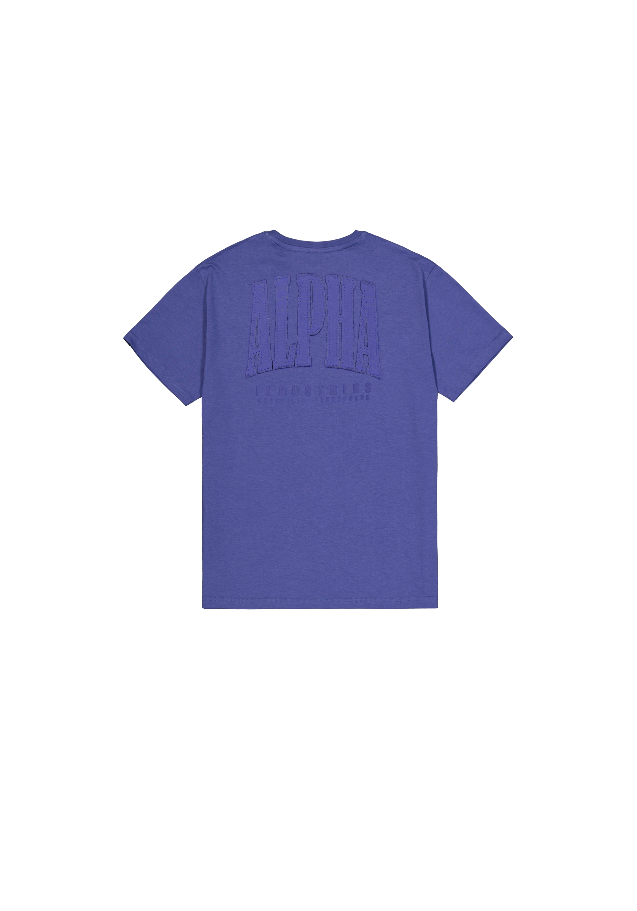 Alpha Industries T-Shirt »Coach T-Shirt Back Embroidery«