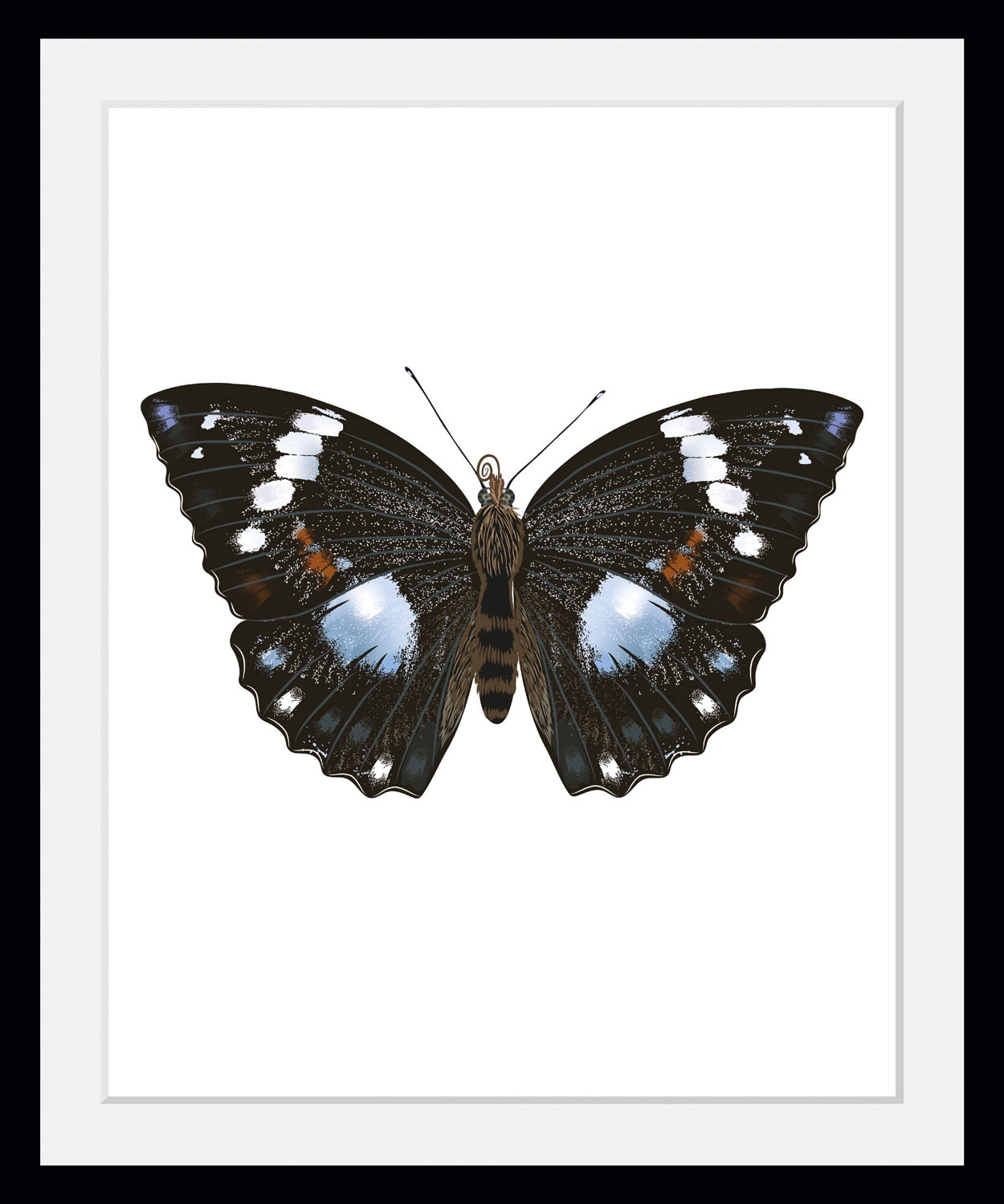 queence Bild »Juju«, Schmetterlinge-Kunst-Insekten-historische Ereignisse, (1 St.), HD Premium Poster-Druck inkl. Holzrahmen