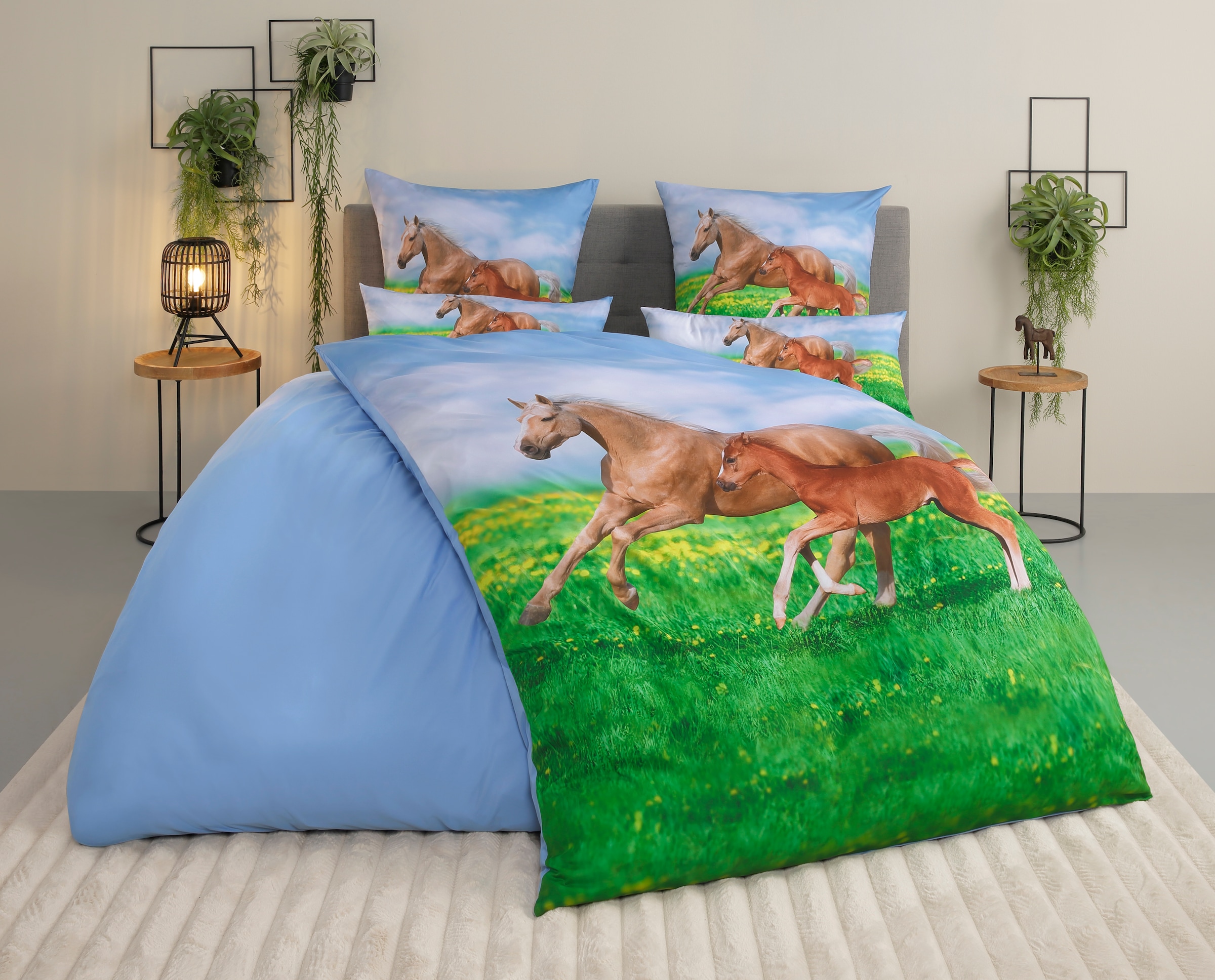 my home Bettwäsche »Lyki« 2 tlg. ab Größe 135x200 cm, 100% Polyester, Katze, Pferd, Löwe, Pinguin