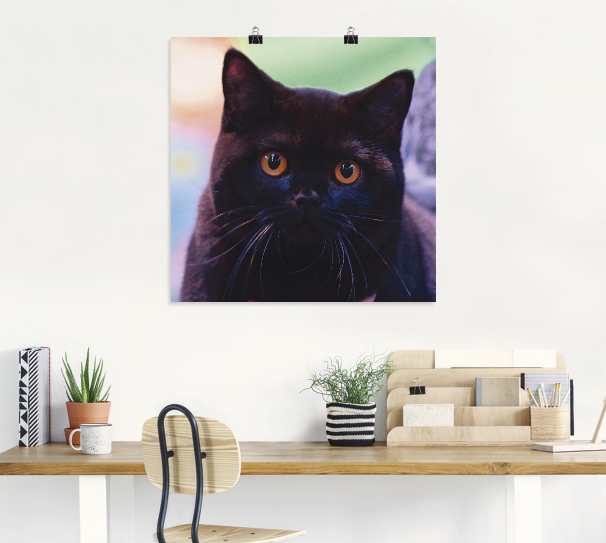 Artland Wandbild »Schwarze Britisch Kurzhaarkatze«, Haustiere, (1 St.), als Poster in verschied. Größen