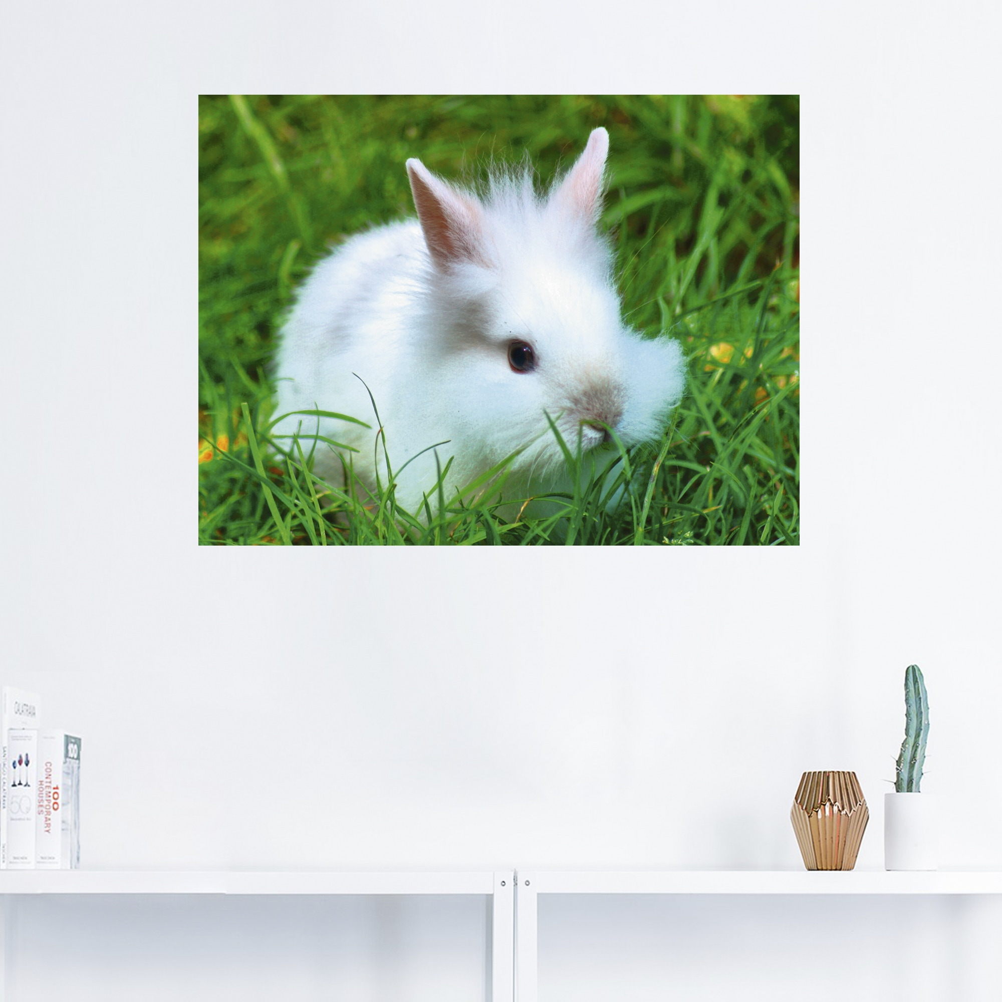 Artland Wandbild »Weißes Zwergkaninchen Baby«, Wildtiere, (1 St.), als  Poster, Wandaufkleber in verschied. Größen im OTTO Online Shop