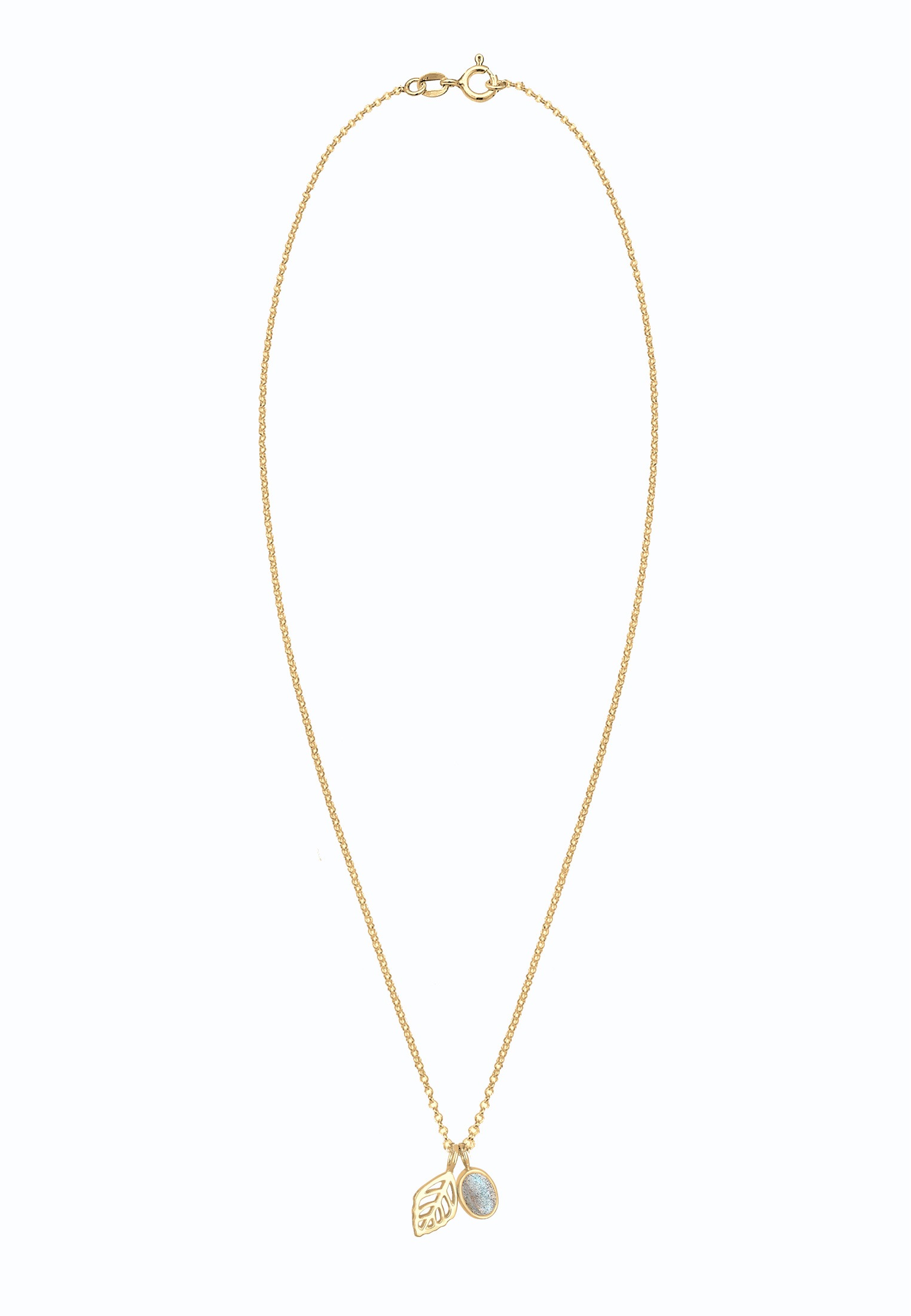 Elli Silberkette »Halskette Erbskette Blatt und Labradorit Edelstein 925 Sterling Silber«