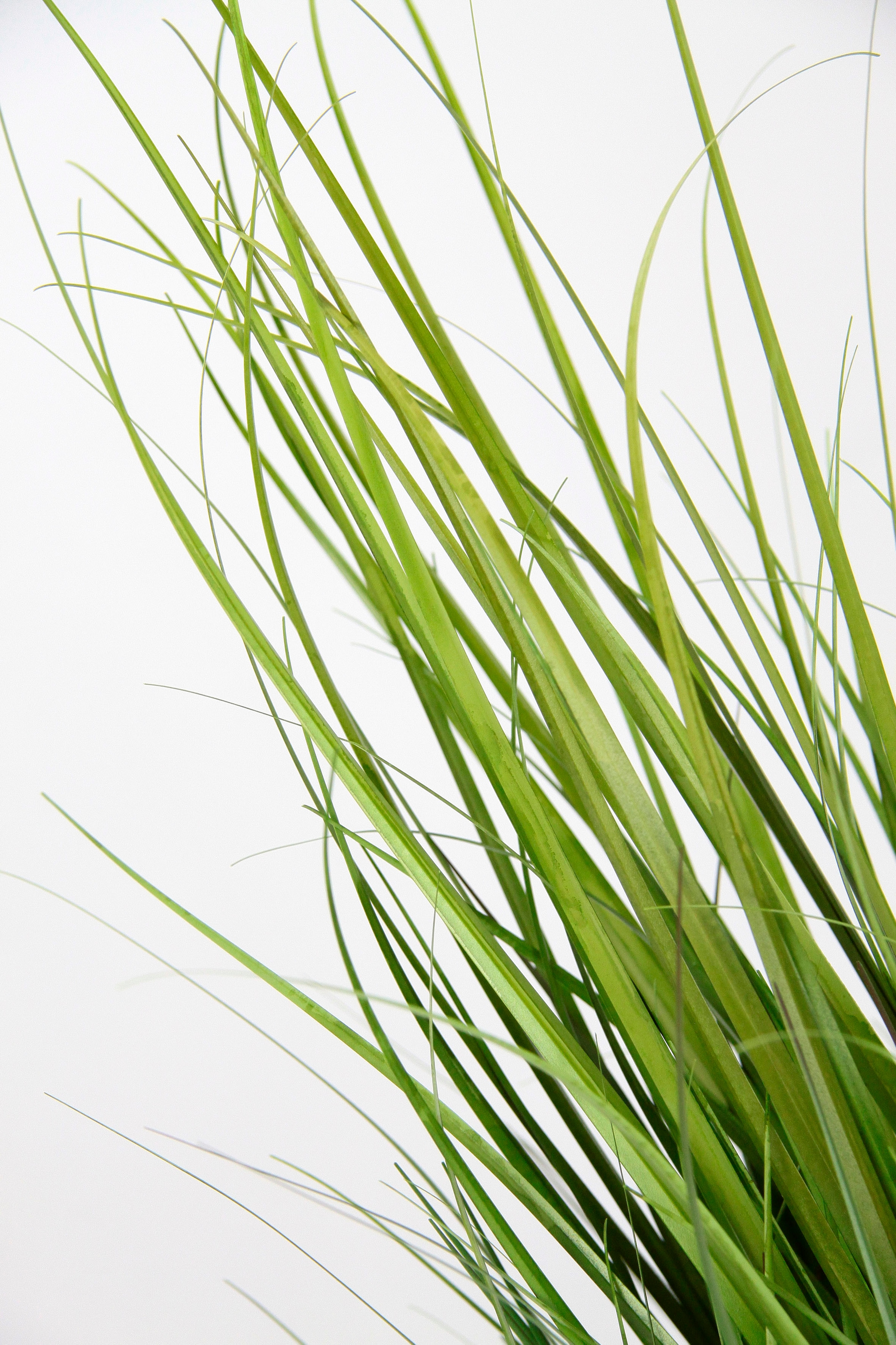 I.GE.A. Kunstpflanze »Grasbusch« Dekogras