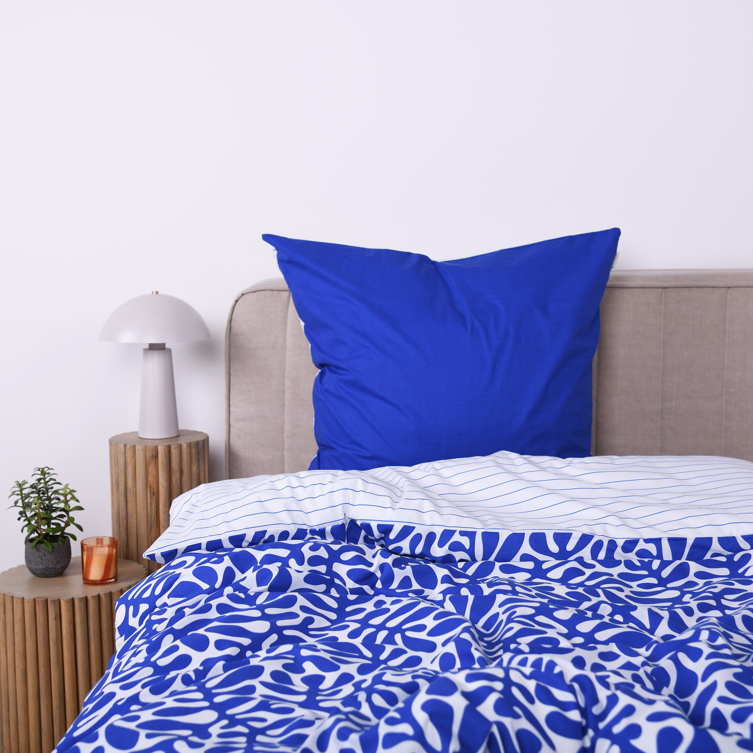 TOM TAILOR HOME Bettwäsche »ORGANIC LEAVES in Gr. 135x200cm, 155x220cm oder 200x220cm« 2 Stk. new bedroom, mit farbigem Markenreißverschluss