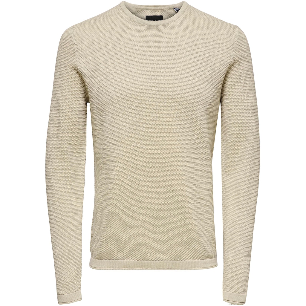 ONLY & SONS Rundhalspullover »PANTER 12 STRUC CREW NECK KNIT«