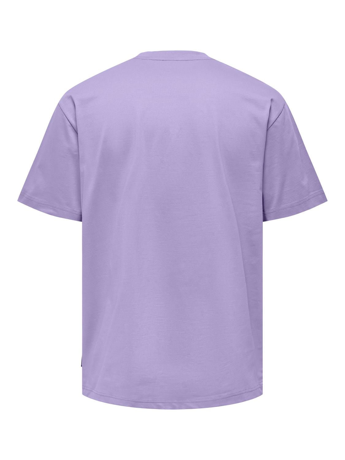 ONLY & SONS Rundhalsshirt »ONSFRED RLX SS TEE«