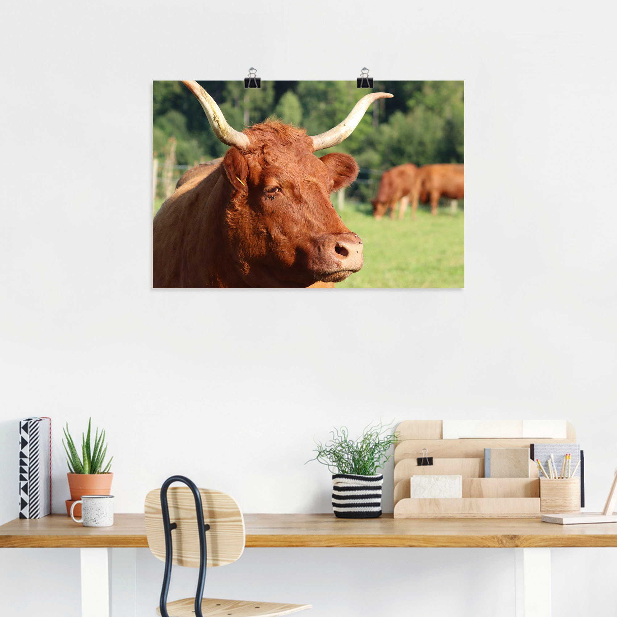Artland Wandbild »Schau mir in die Augen«, Kuhbilder, (1 St.), als Alubild, Leinwandbild, Wandaufkleber oder Poster in versch. Größen