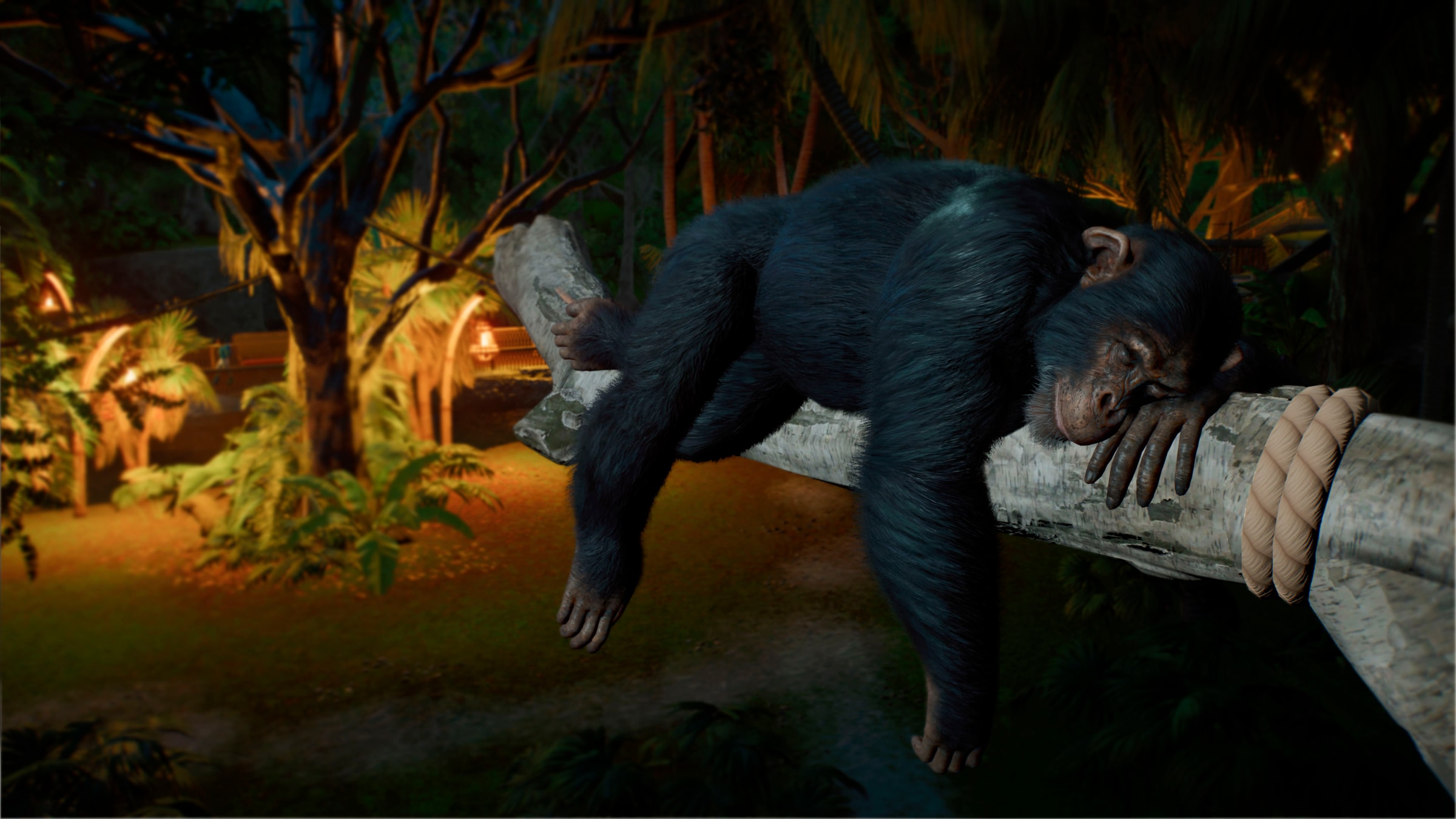 Fireshine Games Spielesoftware »Planet Zoo 2« PlayStation 5