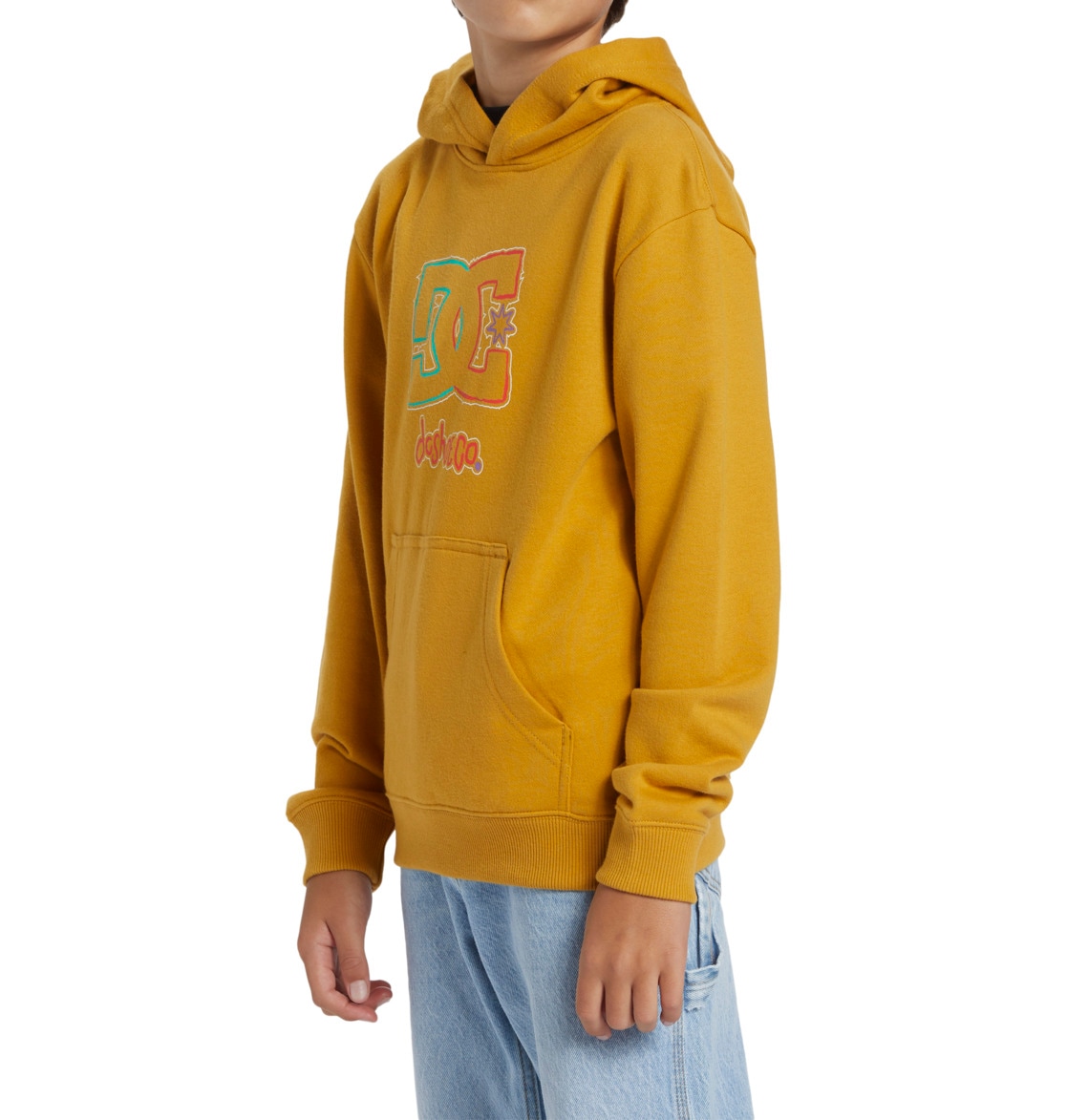 DC Shoes Hoodie »New Deals«