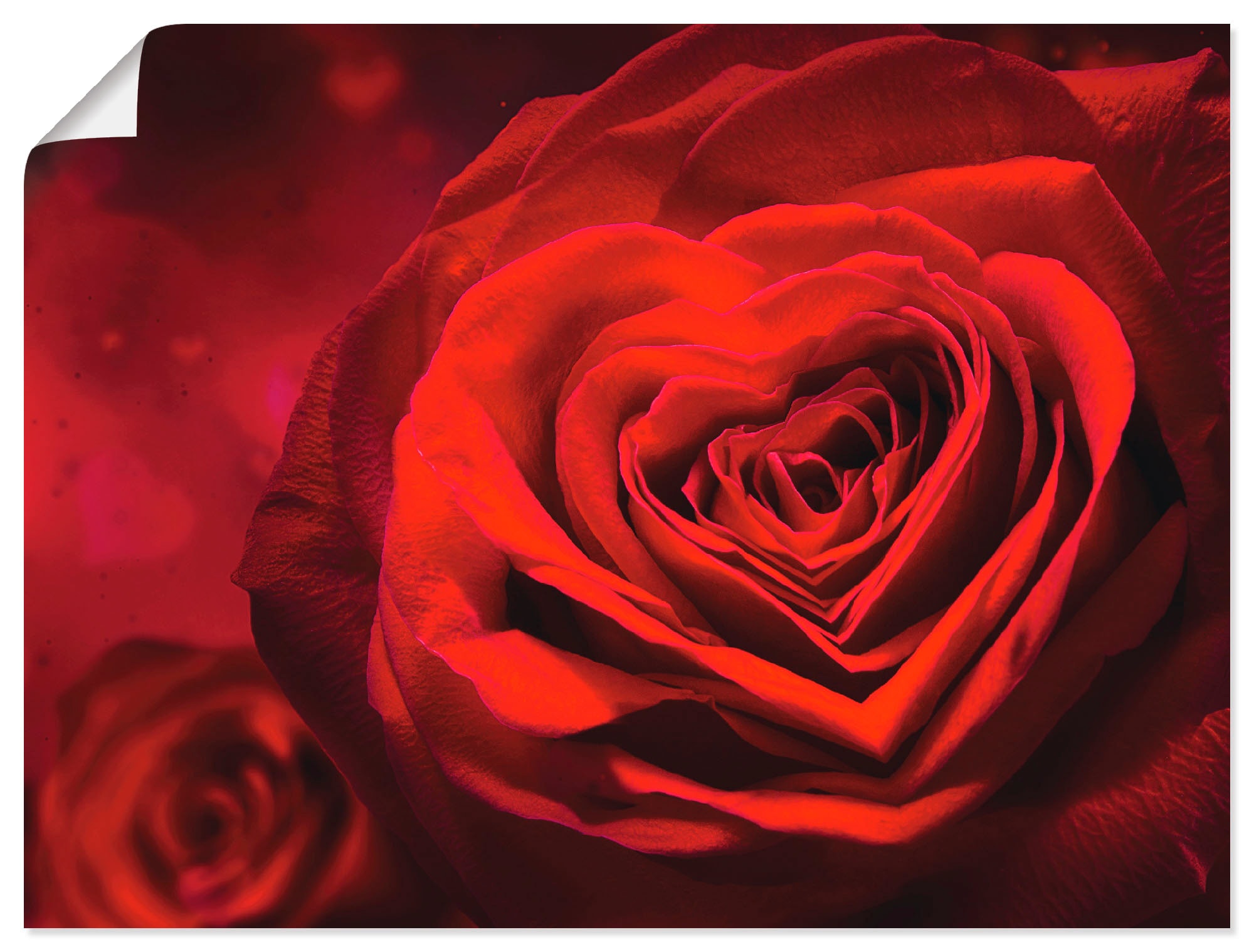 Wandbild »Valentinseinladung mit Herzen und Rosen«, Blumen, (1 St.), als Leinwandbild,...