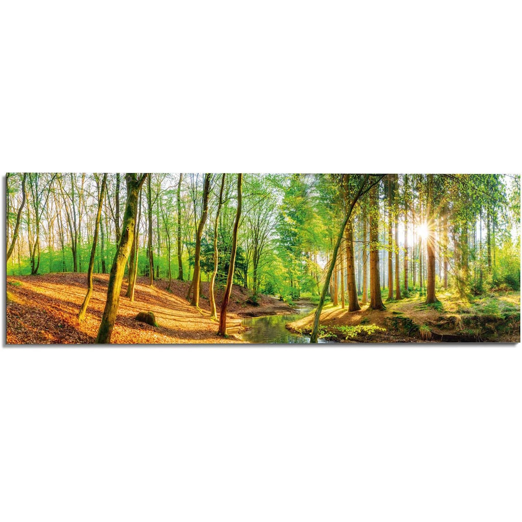 Reinders! Wandbild »Sonniger Wald«