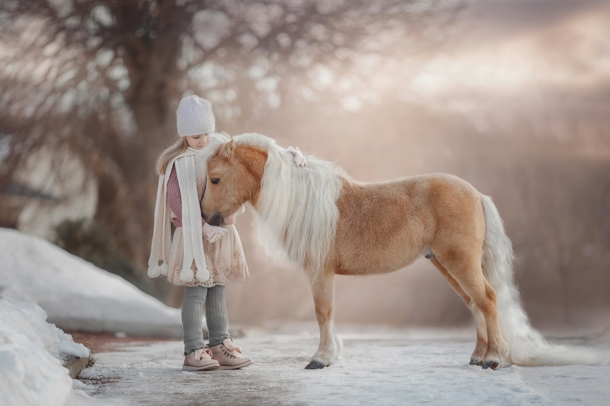 Fototapete »PALOMINO MINIATURE PFERD-MÄDCHEN WINTER TIER PONY MINI«