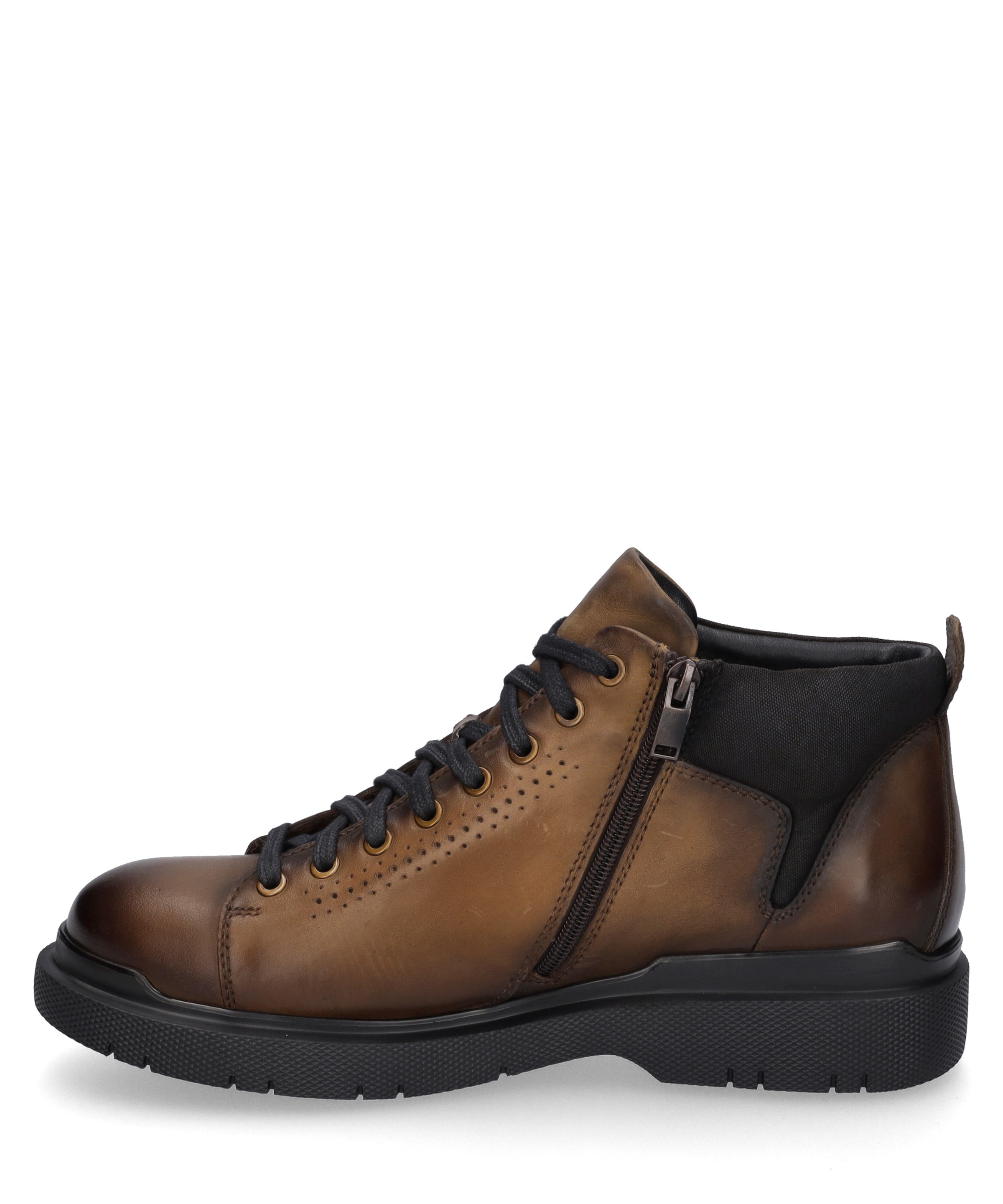 Josef Seibel Schnürschuh »Dalton 52, castagne«