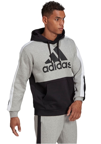 adidas Sportswear Kapuzensweatshirt »COLORBLOCK HOODIE« kaufen