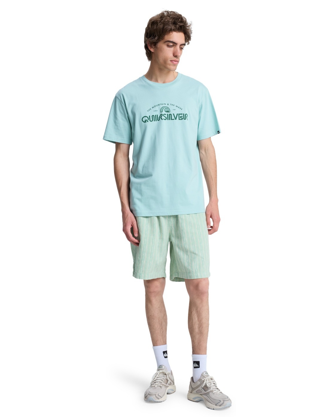 Quiksilver T-Shirt »EV Vista«