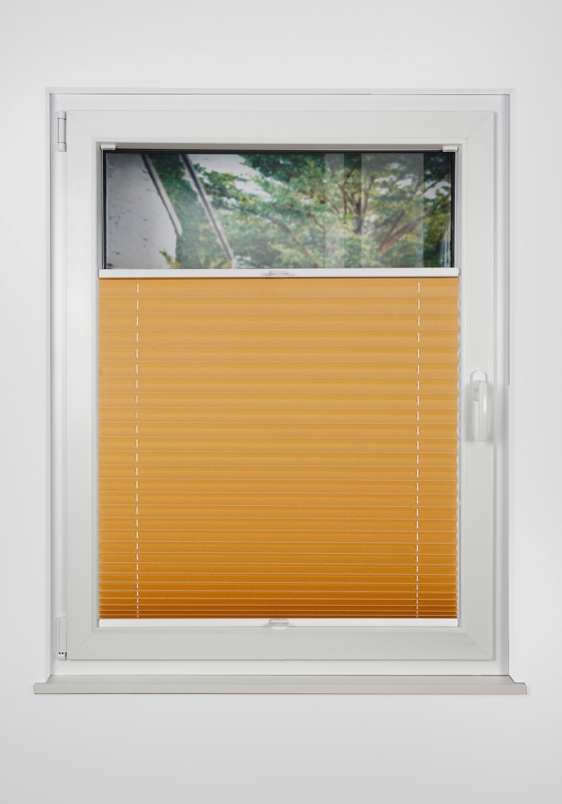 mydeco Plissee »Thermo Premium Blackout«, verdunkelnd, mit Bohren, verspannt