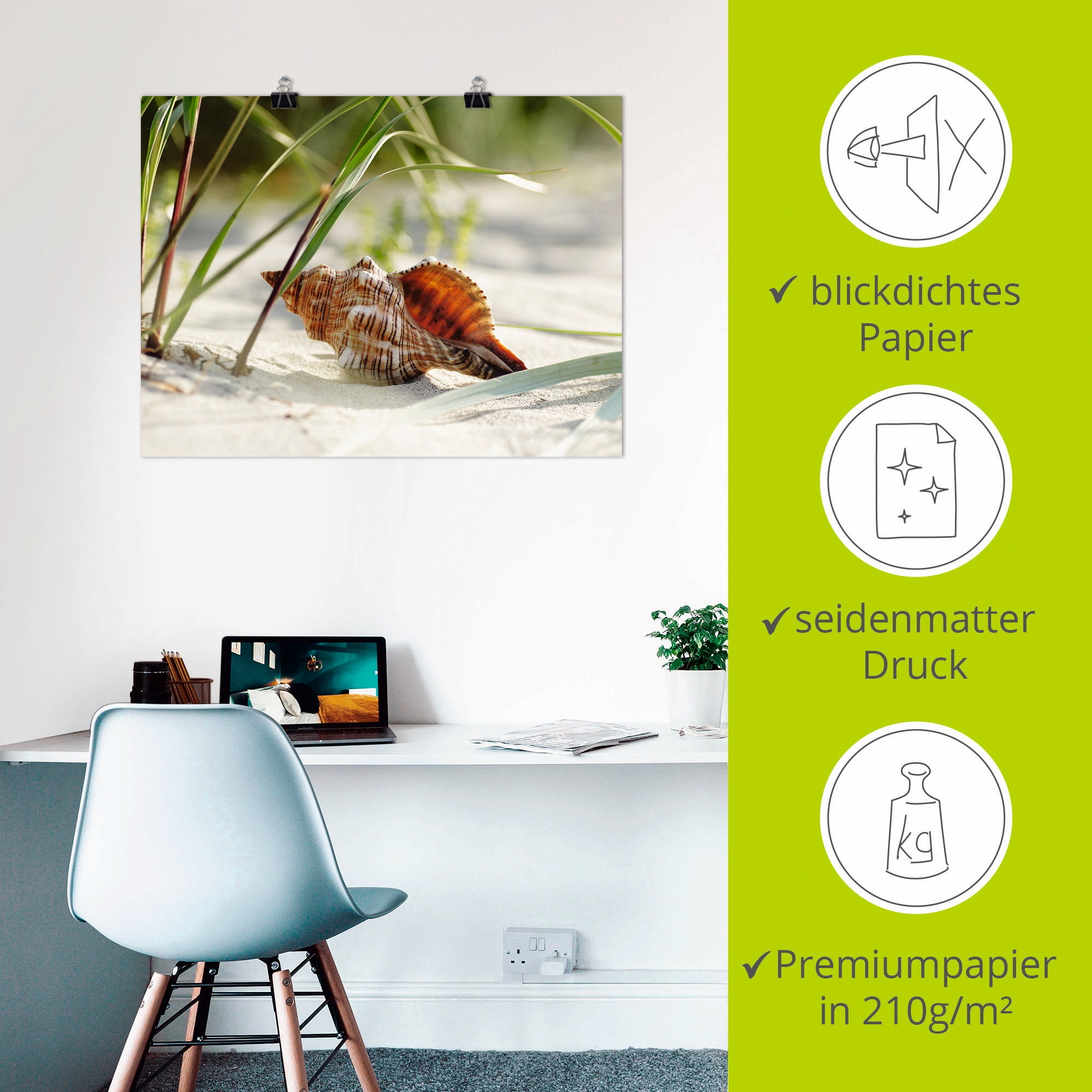 Artland Wandbild »Große Muschel am Strand«, Wassertiere, (1 St.), als Leinwandbild, Poster, Wandaufkleber in verschied. Größen