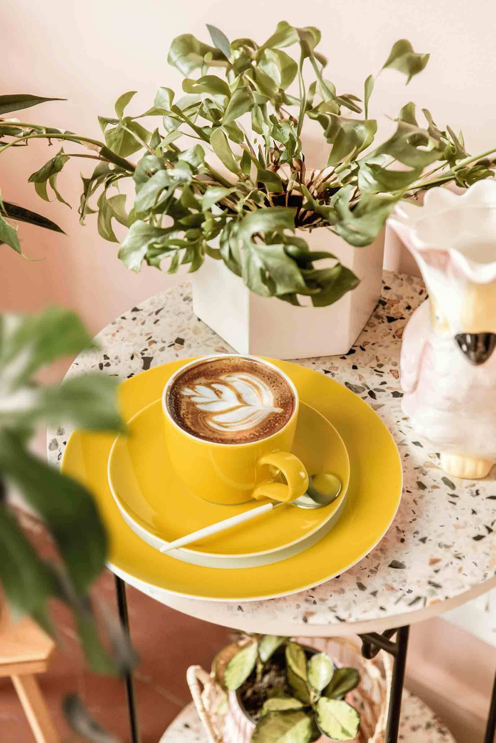 Seltmann Weiden Untertasse »Kombiuntertassen Liberty Pure Colors ø 16 cm 6er Set« Spülmaschinenfest, Mikrowellensicher, Ofenfest