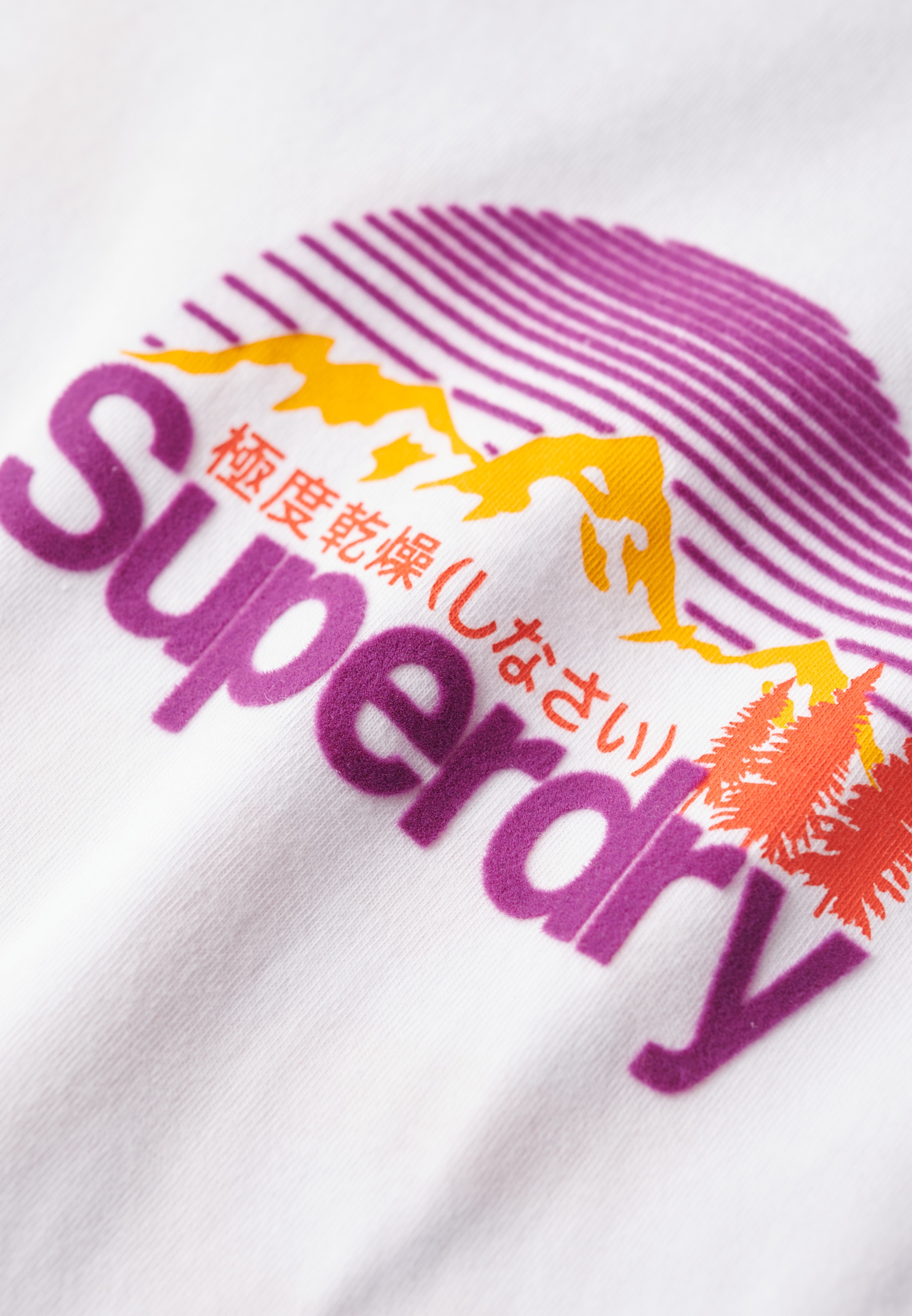 Superdry Rundhalsshirt »CL GREAT OUTDOORS CHEST TEE«