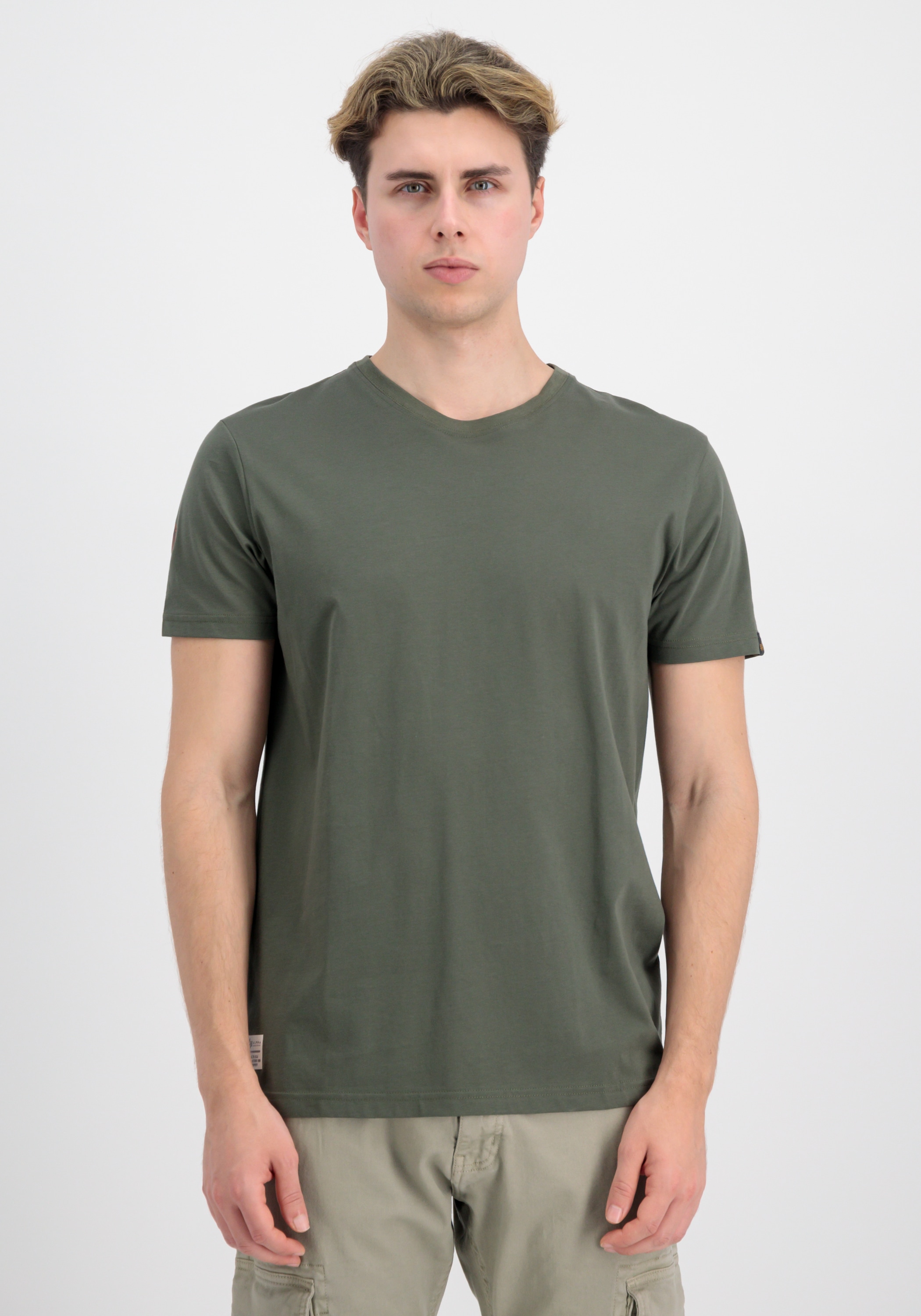 Alpha Industries T-Shirt »Dragon EMB T-Shirt«