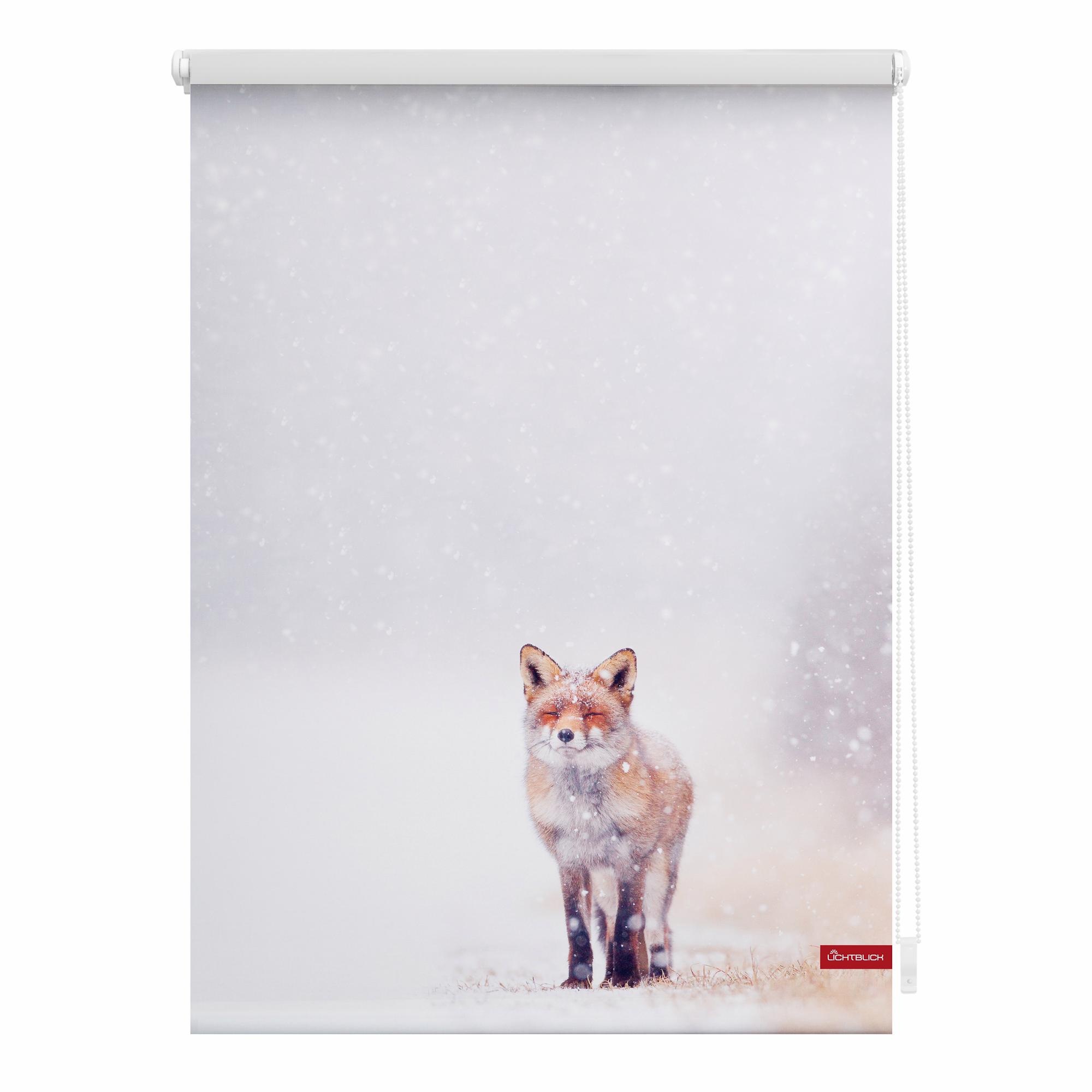 LICHTBLICK Seitenzugrollo »Klemmfix Motiv Fuchs im Schnee«, Lichtschutz, ohne Bohren, freihängend, bedruckt