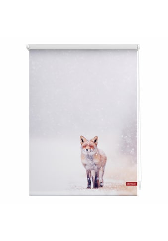 LICHTBLICK ORIGINAL Seitenzugrollo »Klemmfix Motiv Fuchs im Schnee«, Lichtschutz, ohne... kaufen