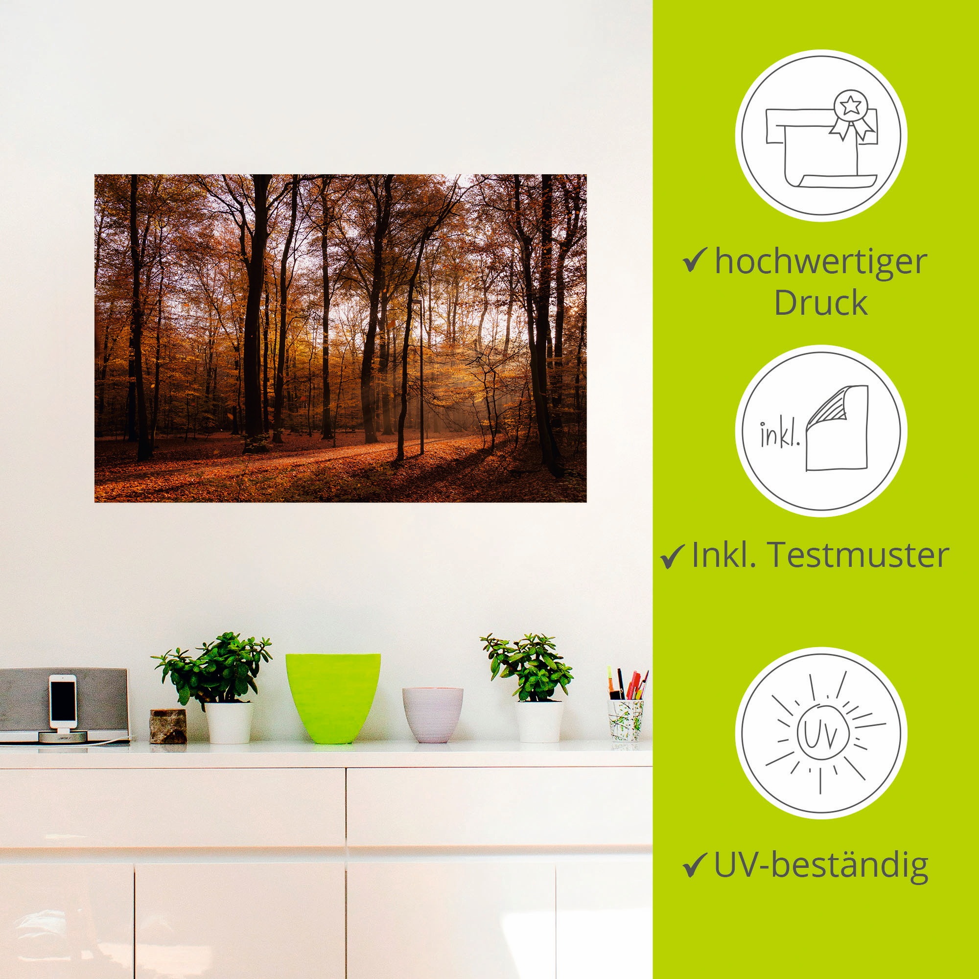 Artland Wandbild »Sonnenaufgang im Herbst II«, Wald, (1 St.), als Alubild, Outdoorbild, Leinwandbild, Poster, Wandaufkleber