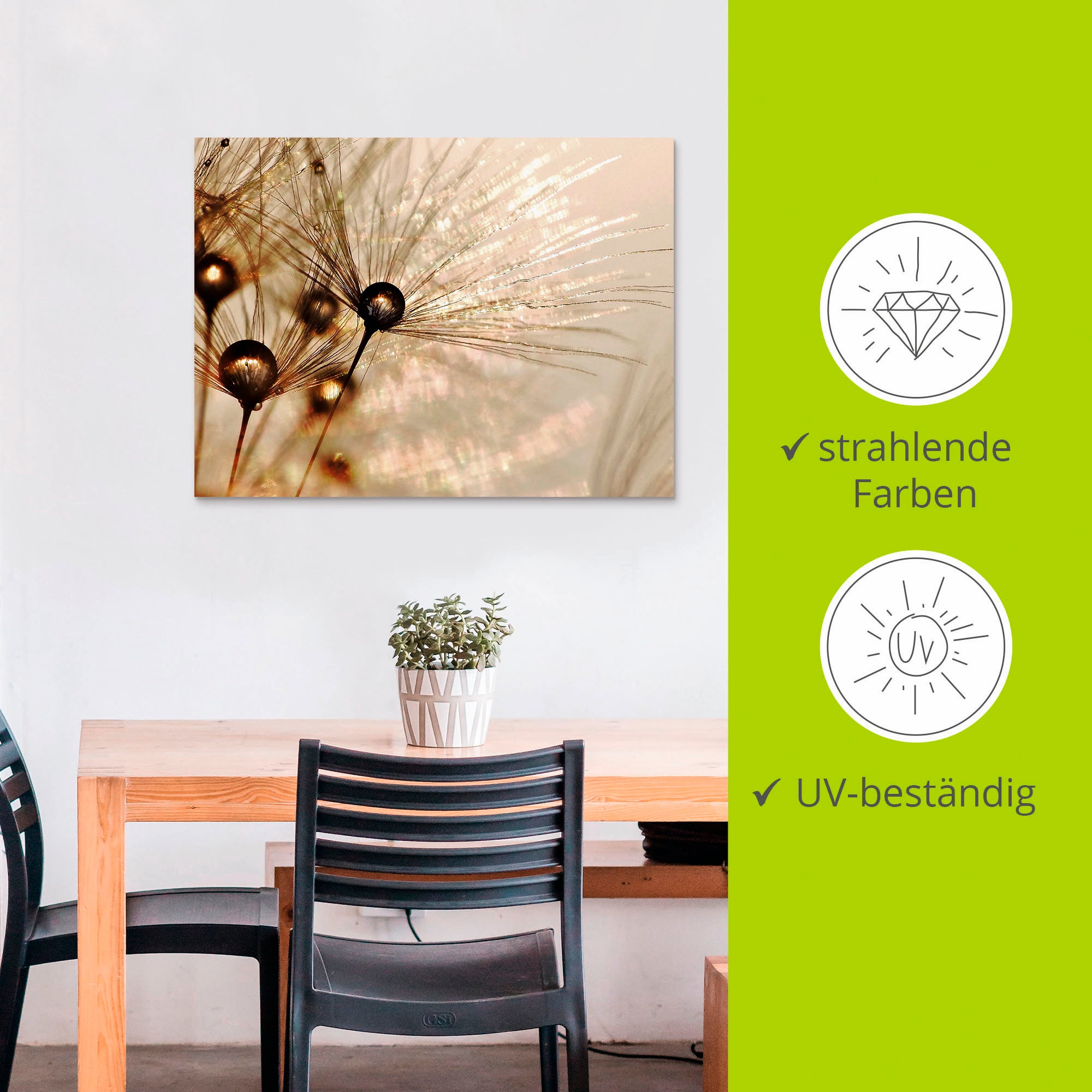 Artland Wandbild »Pusteblume Goldener Tropfen«, Blumen, (1 St.), als Alubild, Outdoorbild, Leinwandbild, Poster, Wandaufkleber