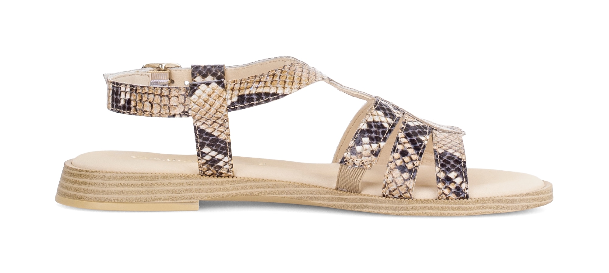 Gabor Riemchensandale  Blockabsatz, Sandalette, Sommerschuh mit verstellbarer Schnalle