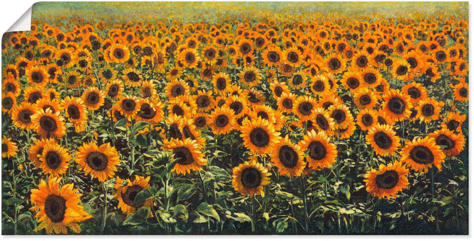 Artland Wandbild »Sonnenblumenfeld«, Blumenwiese, (1 St.), als Alubild, Leinwandbild,... kaufen