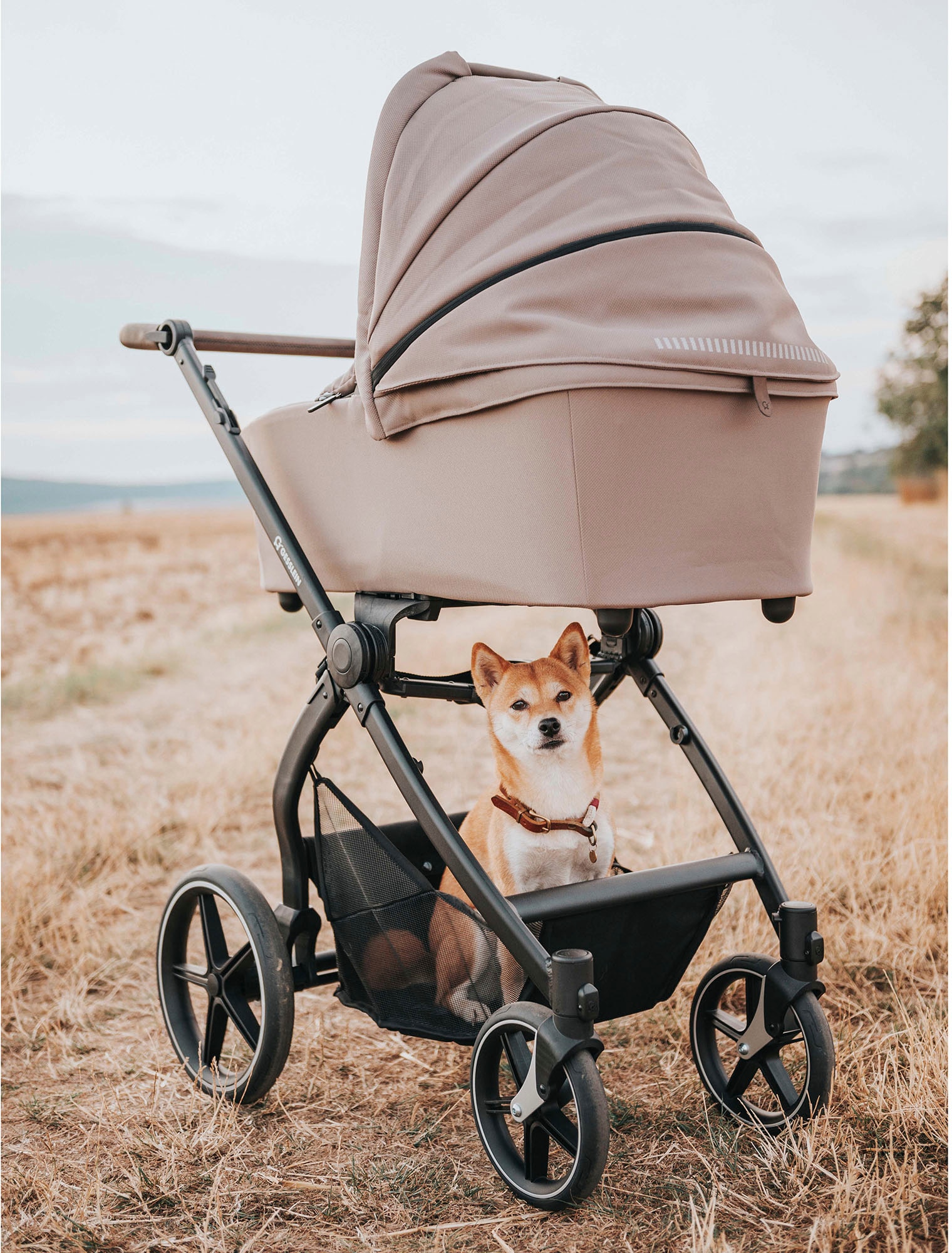 Gesslein Kombi-Kinderwagen »FX4 Soft+ mit Aufsatz Swing schwarz, sand«, mit Babywanne C3 und Babyschalenadapter