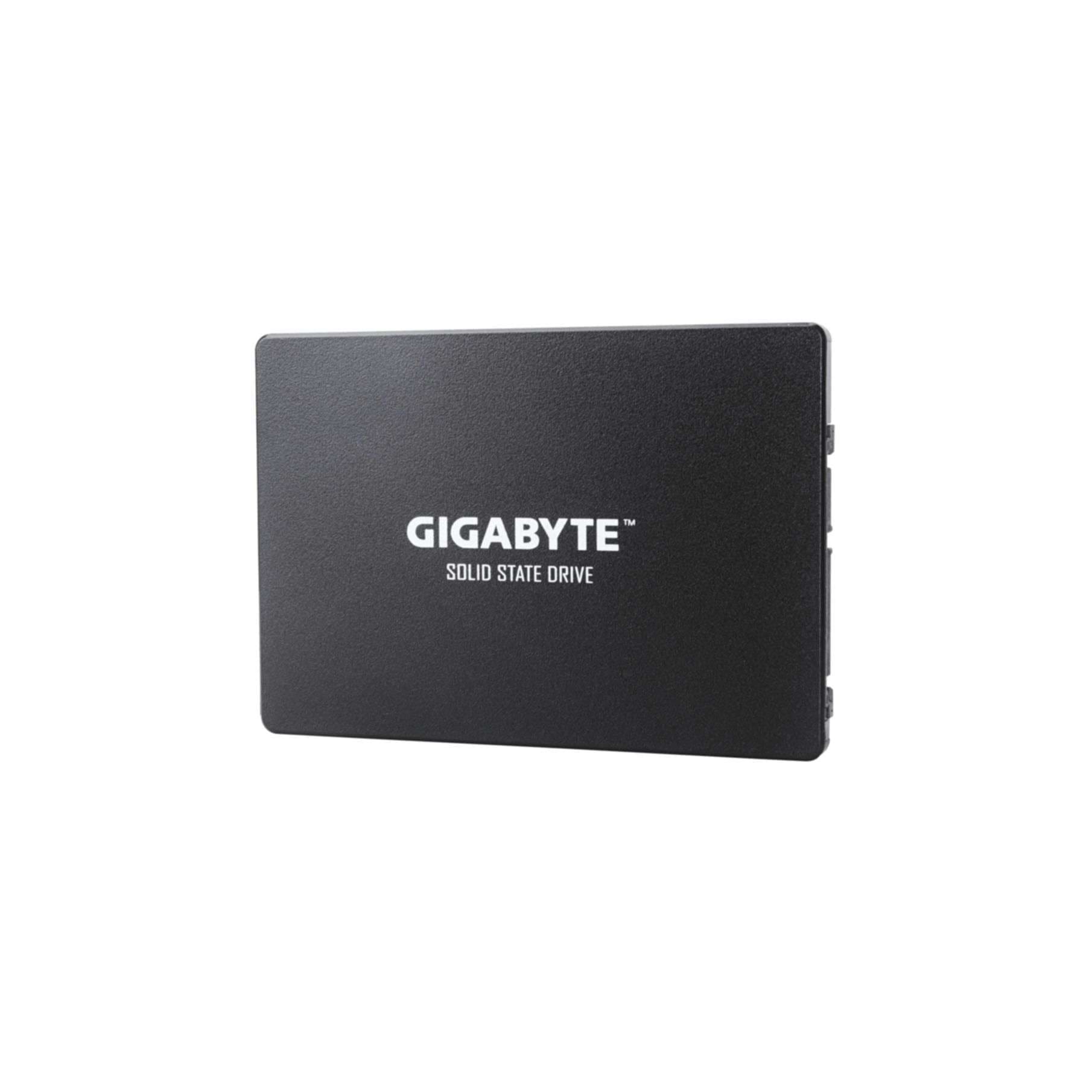 interne SSD »GP-GSTFS31240GNTD«
