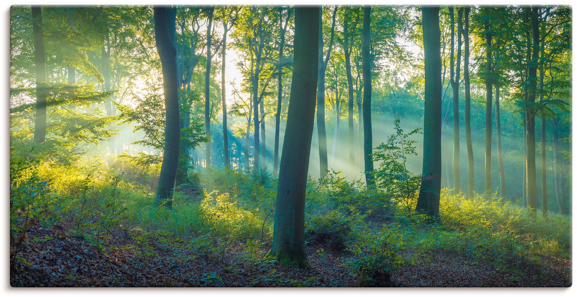 Panorama«, Waldbilder, Wandaufkleber Poster oder versch. St.), bei Leinwandbild, Wandbild Größen (1 Alubild, Artland OTTO in »Wald als