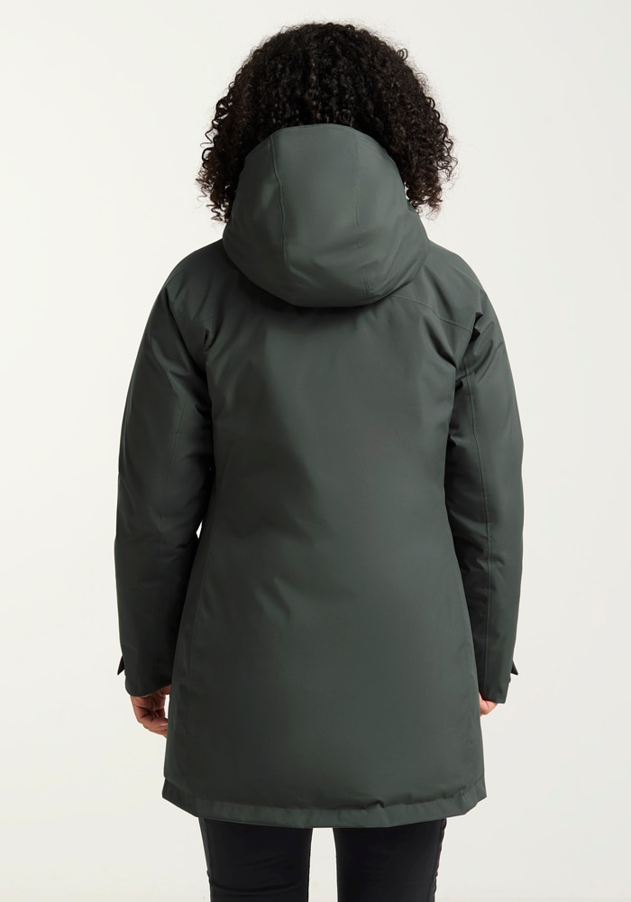 Jack Wolfskin Daunenjacke »ICECAPE 2L DOWN INS JKT W RDS«, mit Kapuze