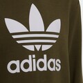 adidas Originals Sweatshirt »TREFOIL HOODIE«