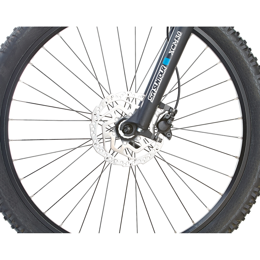 Prophete E-Bike »Graveler 22.EMM.10«, 9 Gang, Shimano, Alivio, Heckmotor 250 W